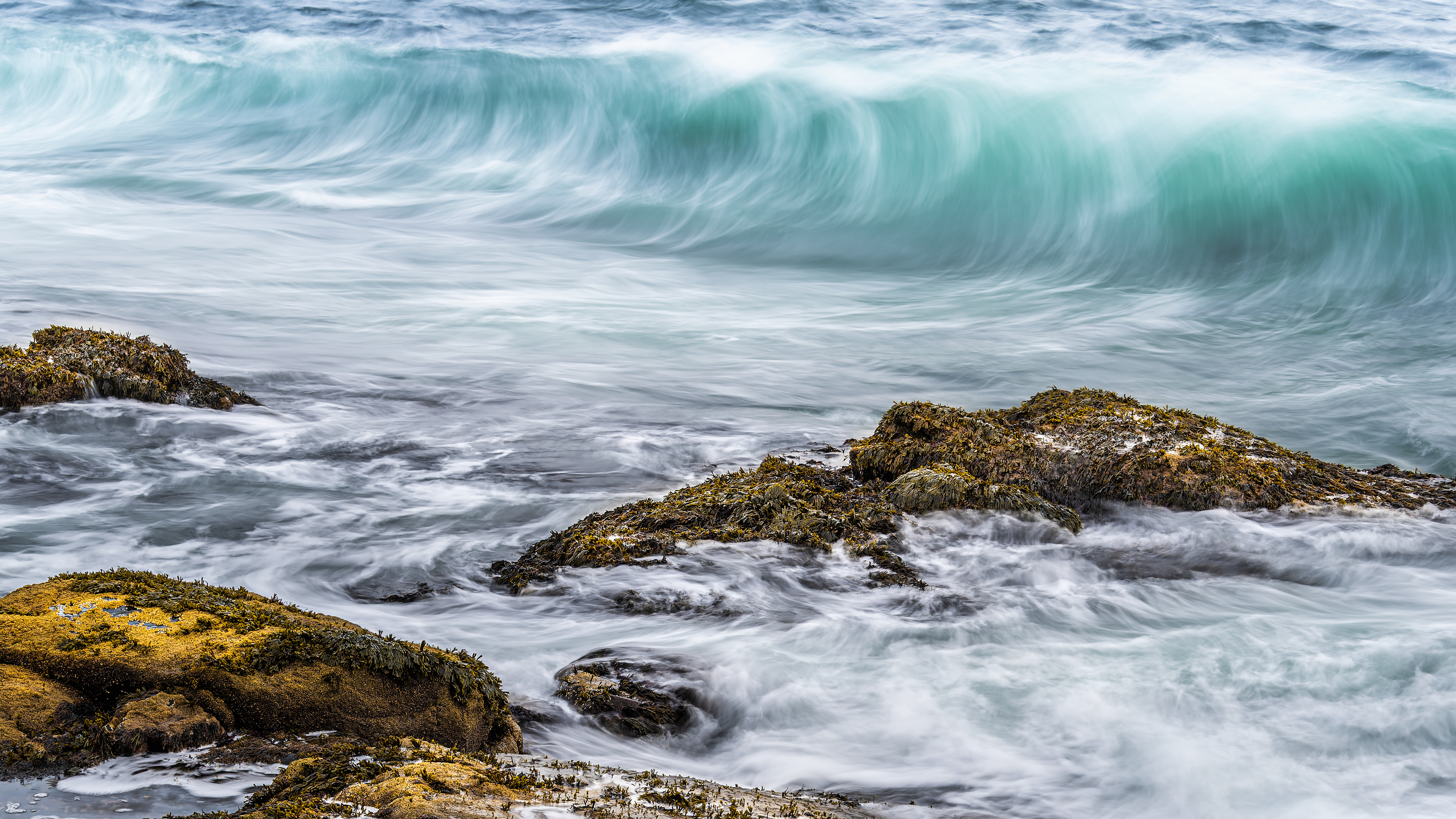 Waves 1 Thunder Hole Acadia National Park