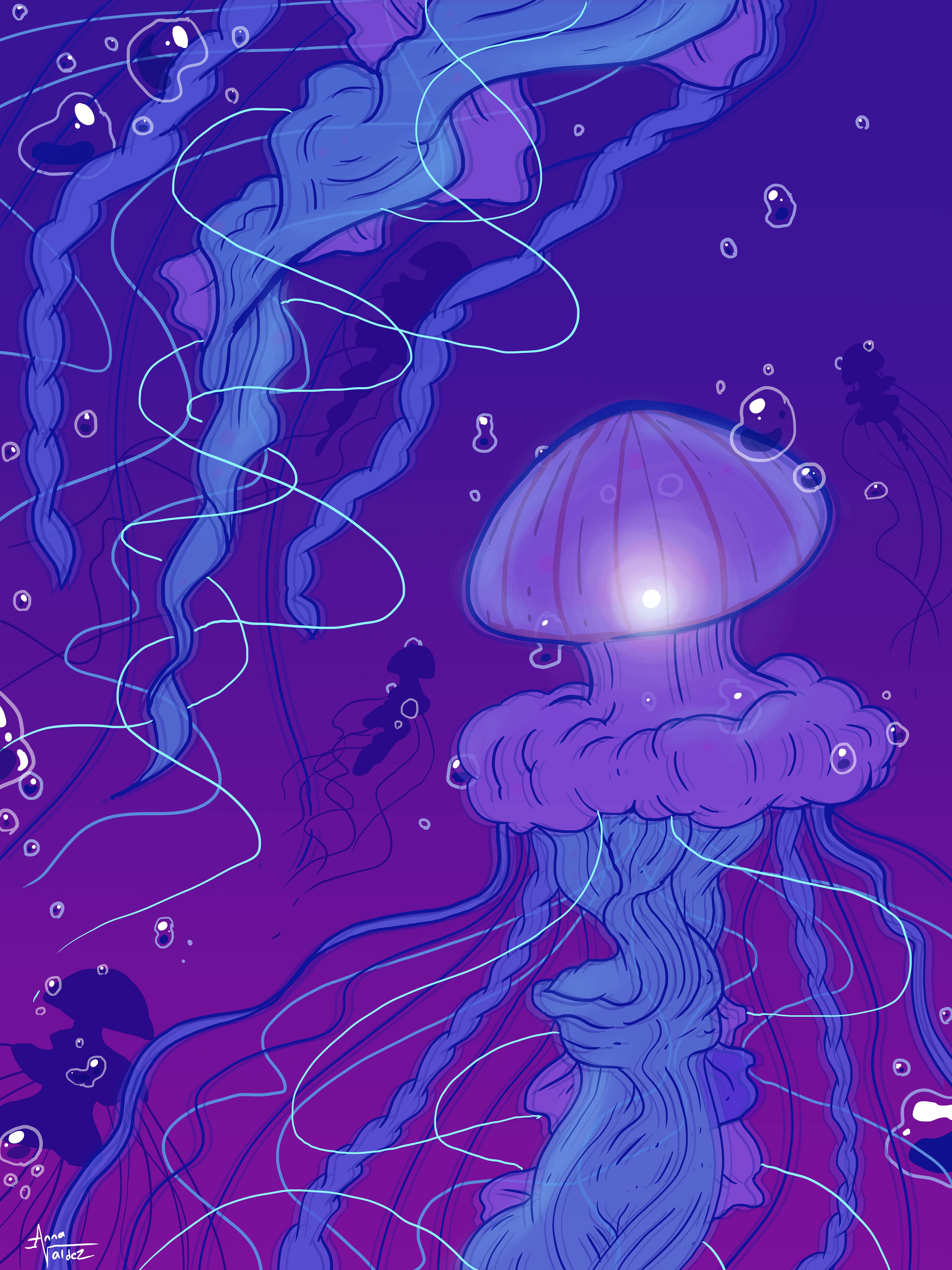 Jellyfish