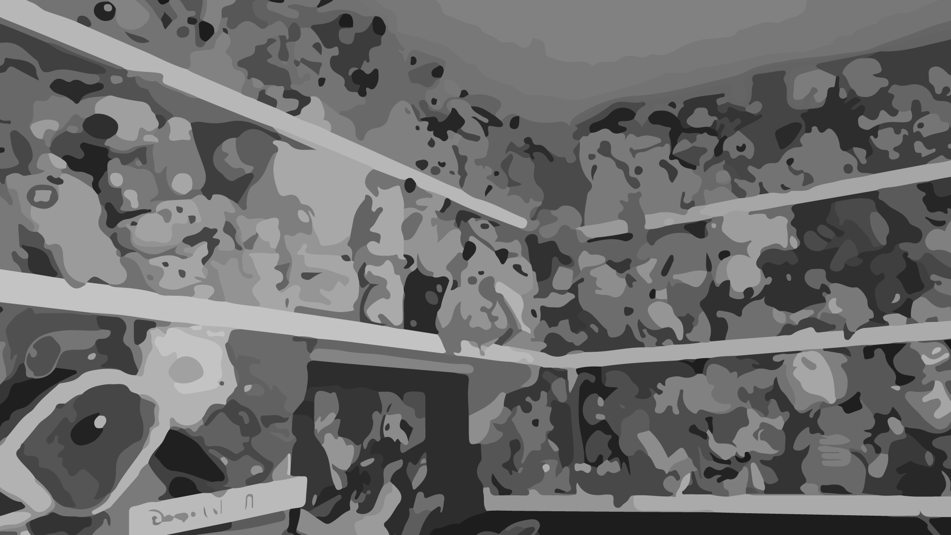 my pokemon wall is looking very busy; I didn't end up using this one for obvious reasons