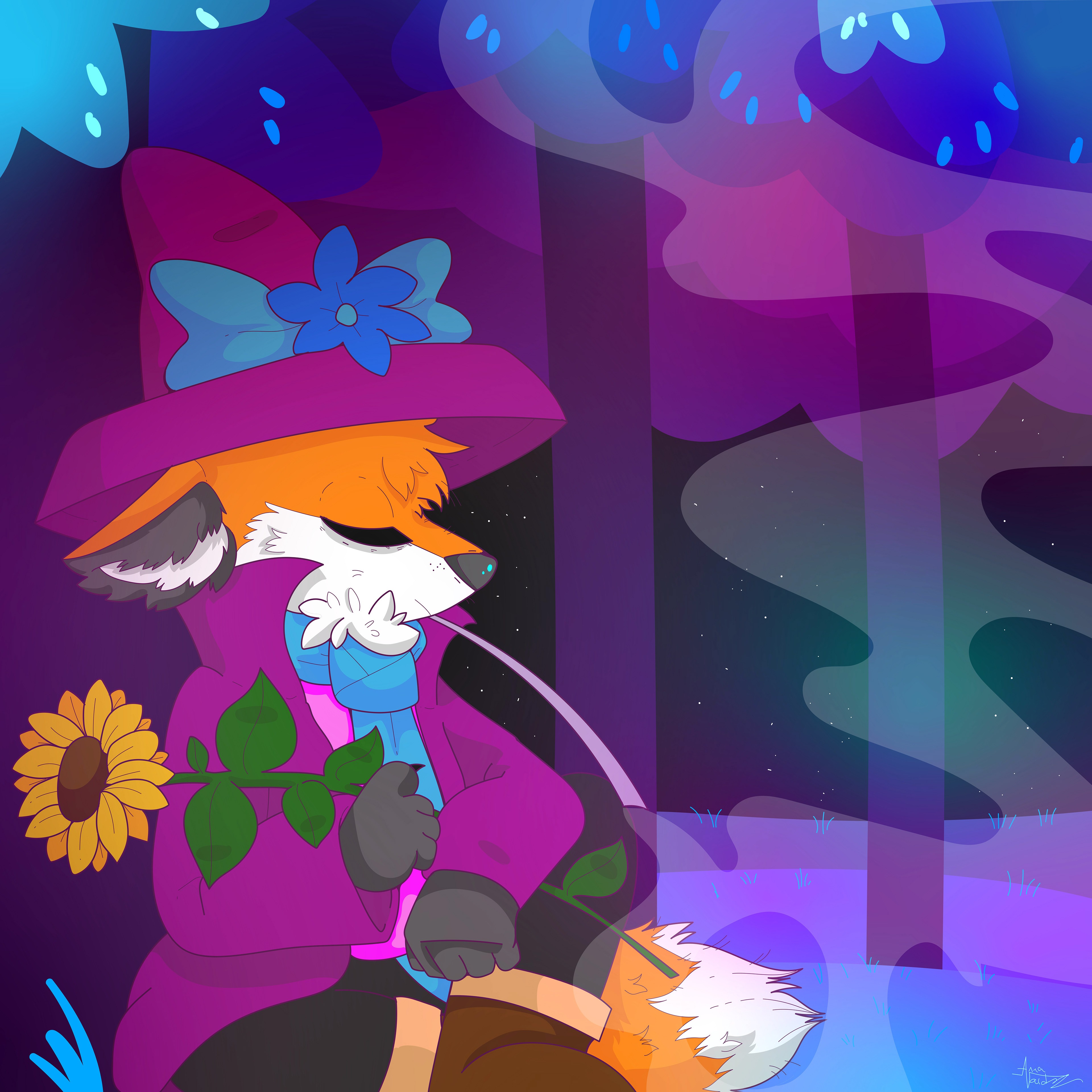 Foxas Promoart