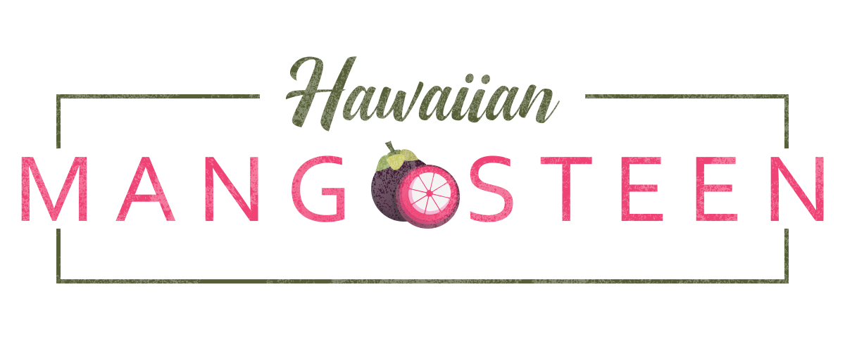 Hans De Barras - Art Director and UX Designer, Philippines