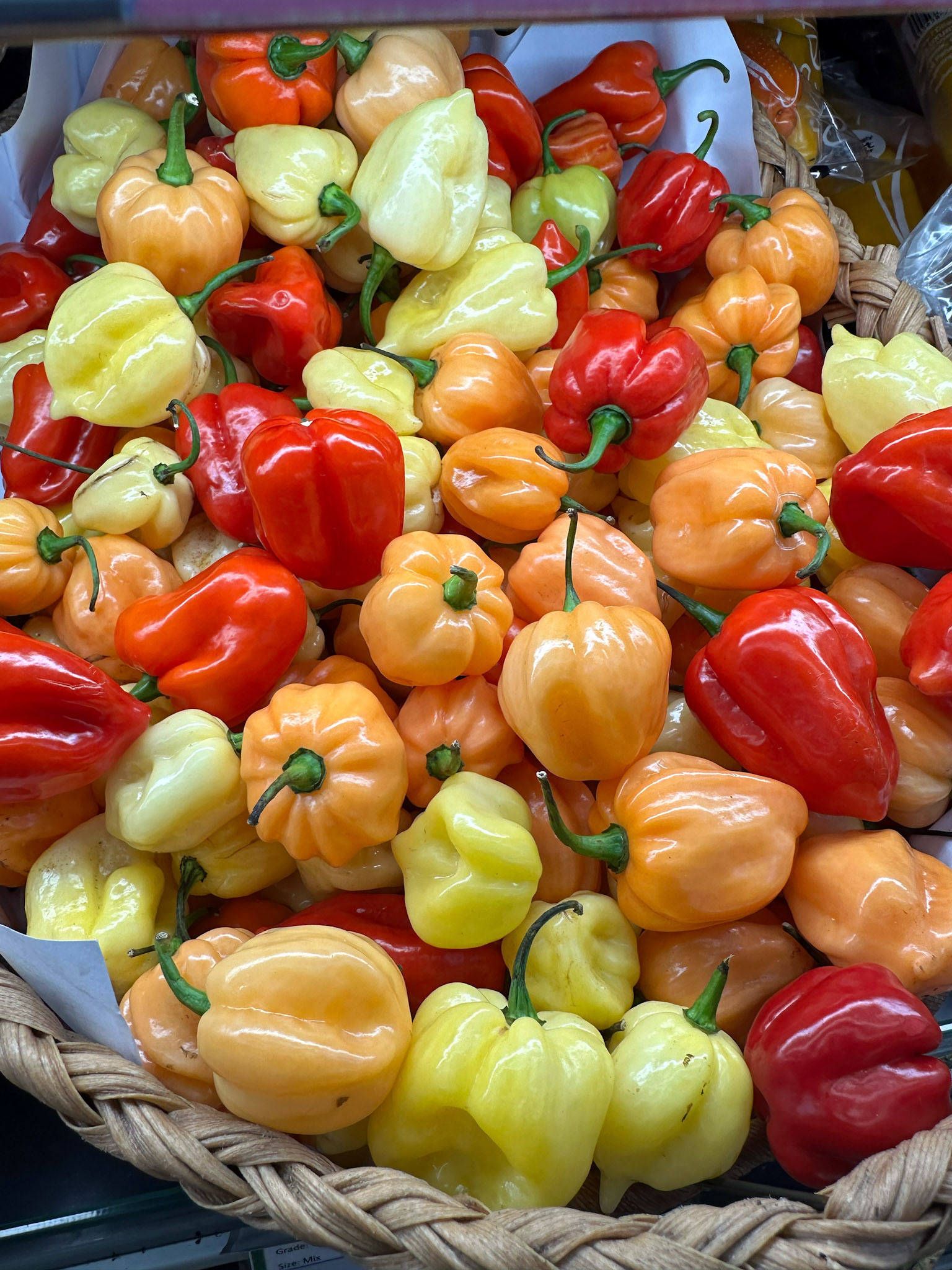 Hot spicy chilli pepper habanero sotch bonnet variety sales on supermarket shelf