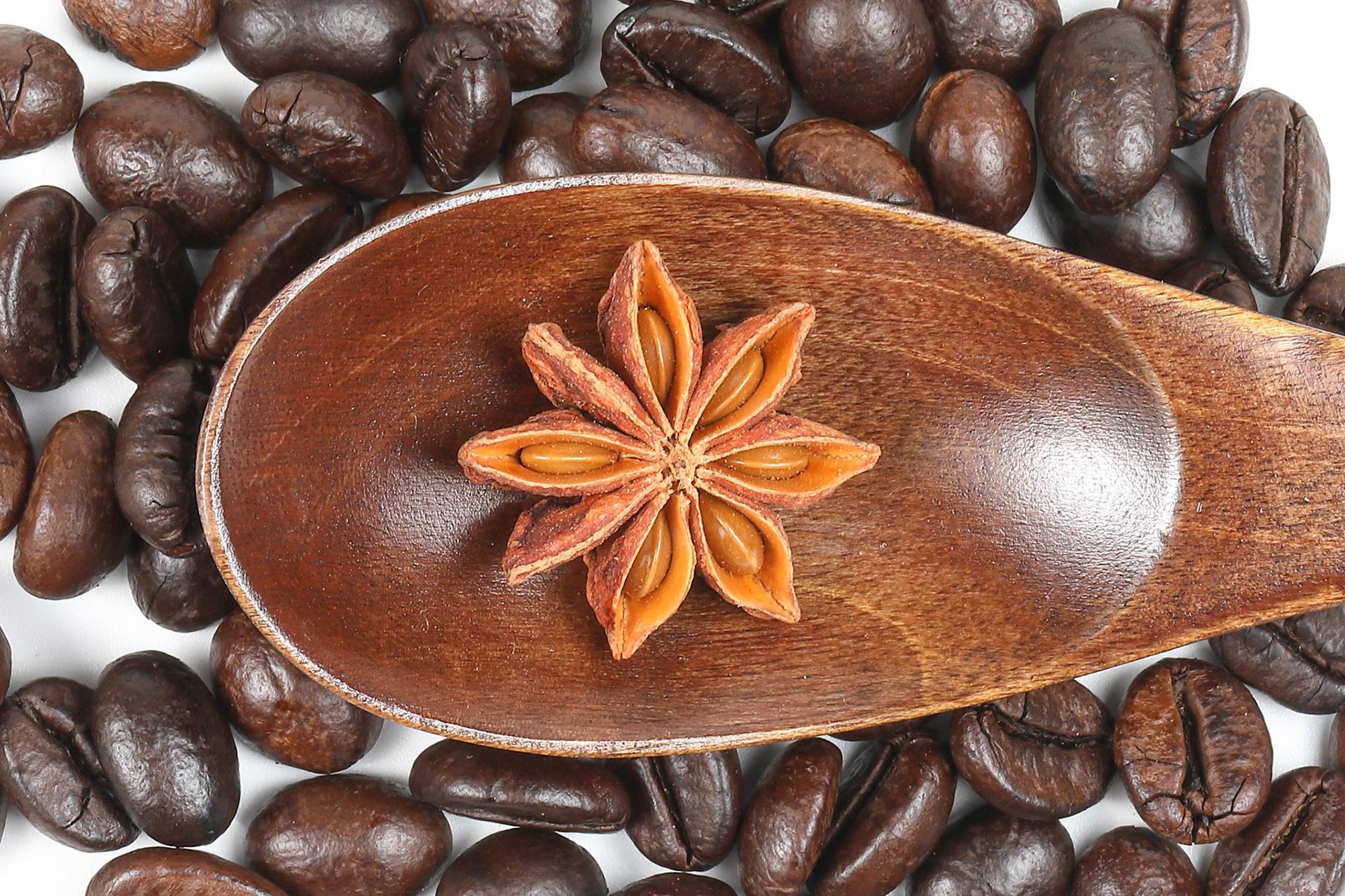 Star Anise Seed Coffee Bean Chinese Fragrant Flavoured Spice 