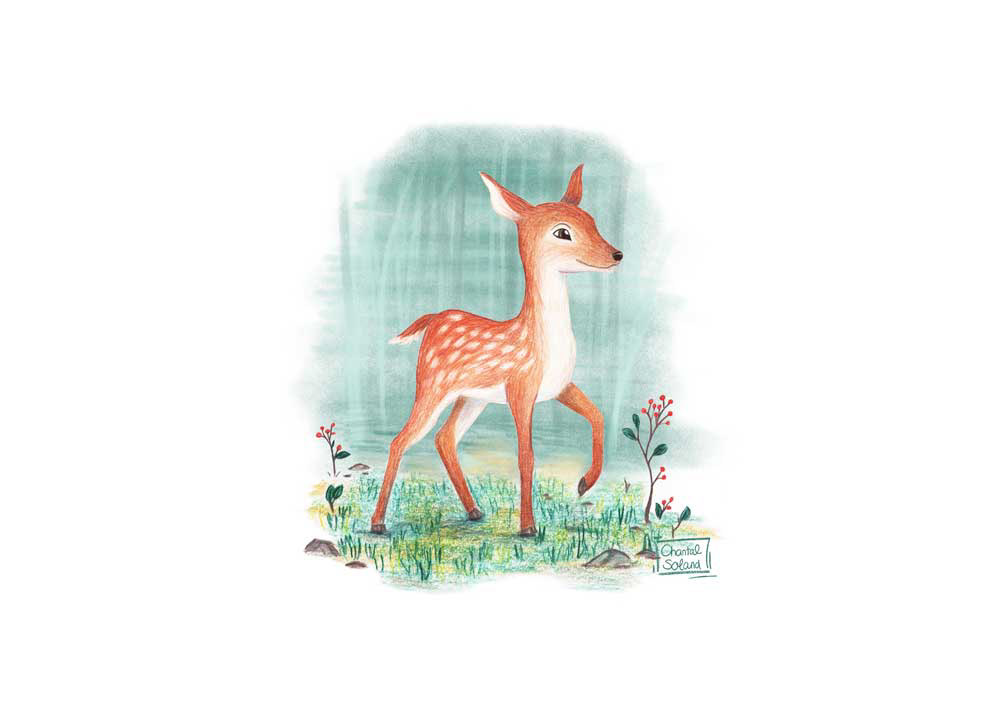 deerest deer