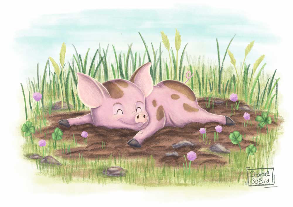 little pig's favorite place