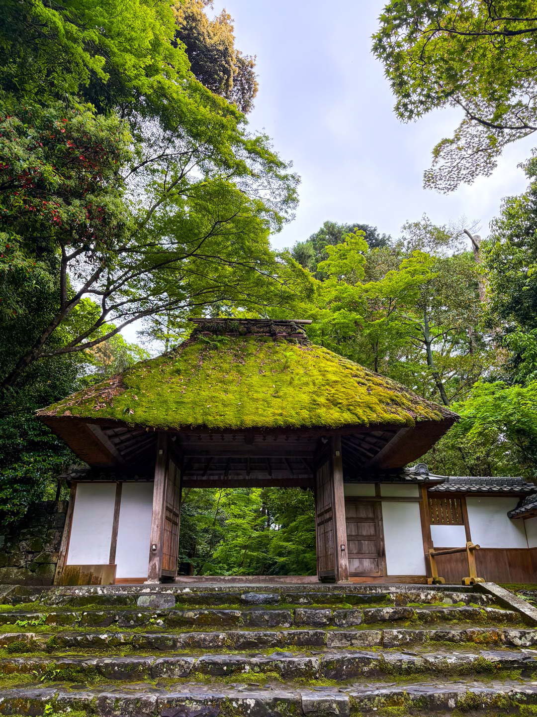 Magical shot of a hidden gem Kyoto Temple covered in Moss for Kyoto Tour Promotion by Paren Creates