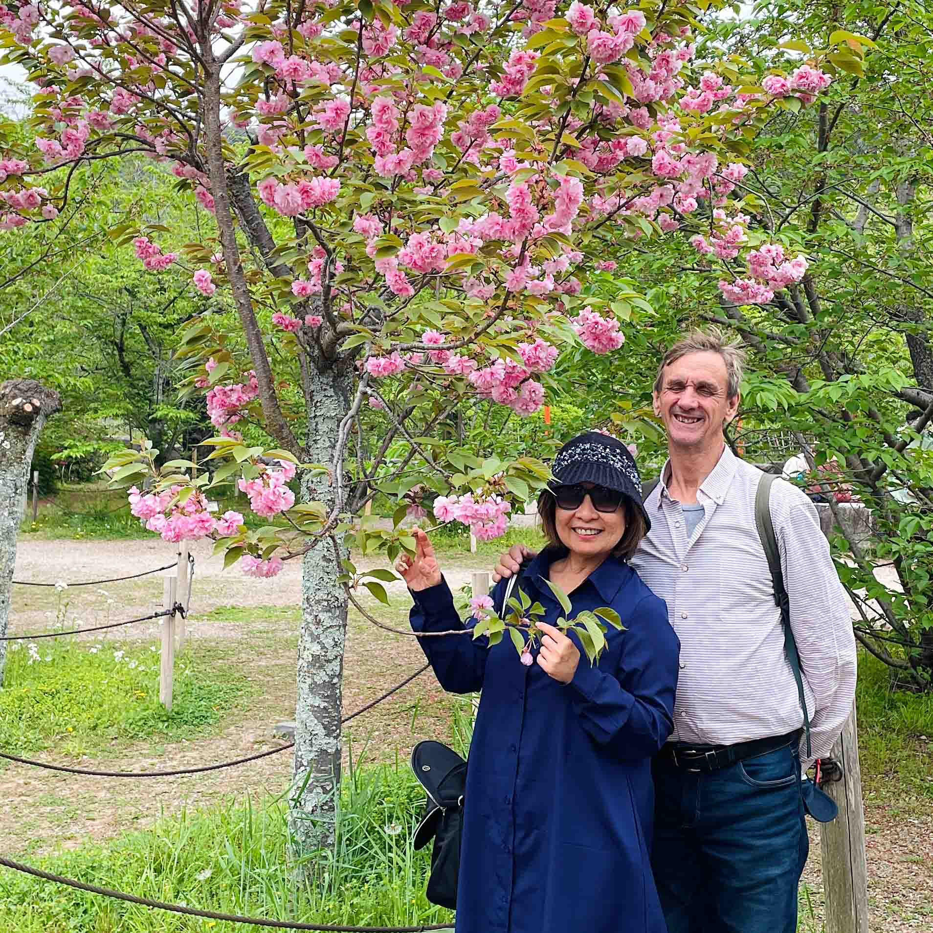 Testimonial of Kyoto Day Tour by guests form Australia and the Philippines for Paren Creates