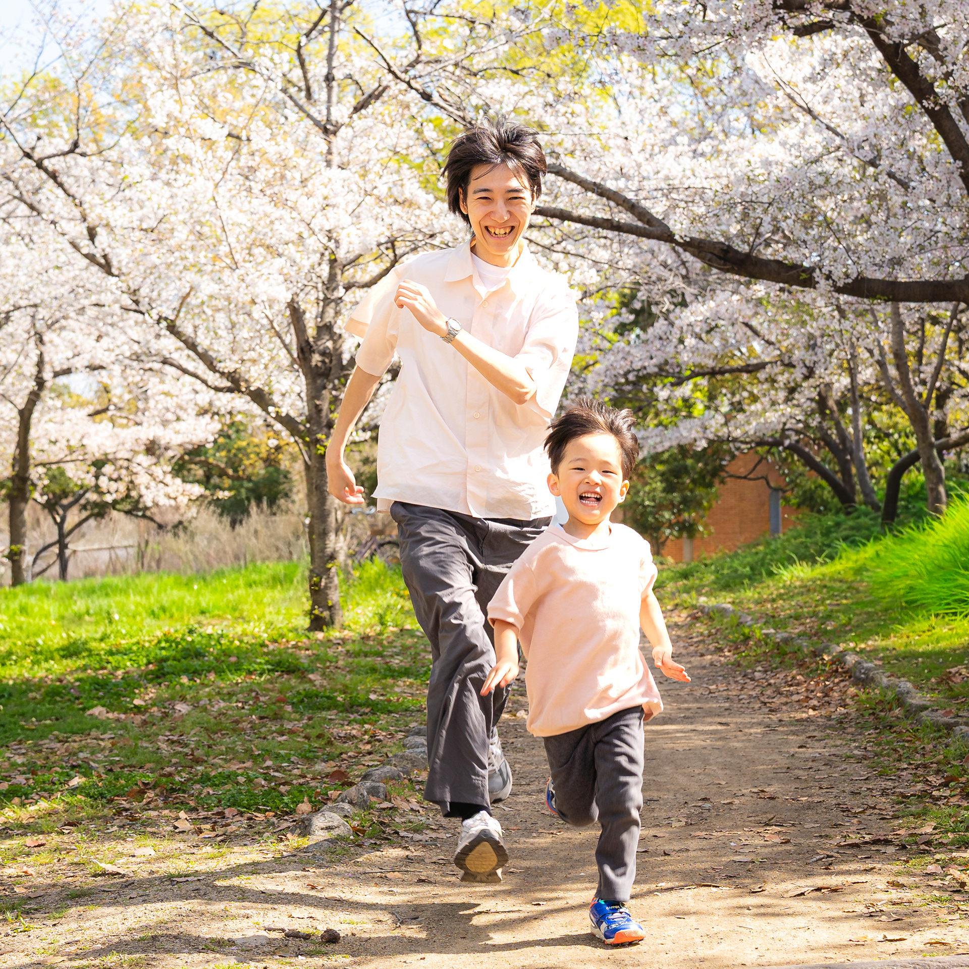 Cherry Blossom Family photoshoot in Osaka for Japanese Clients, shot by Paren Creates