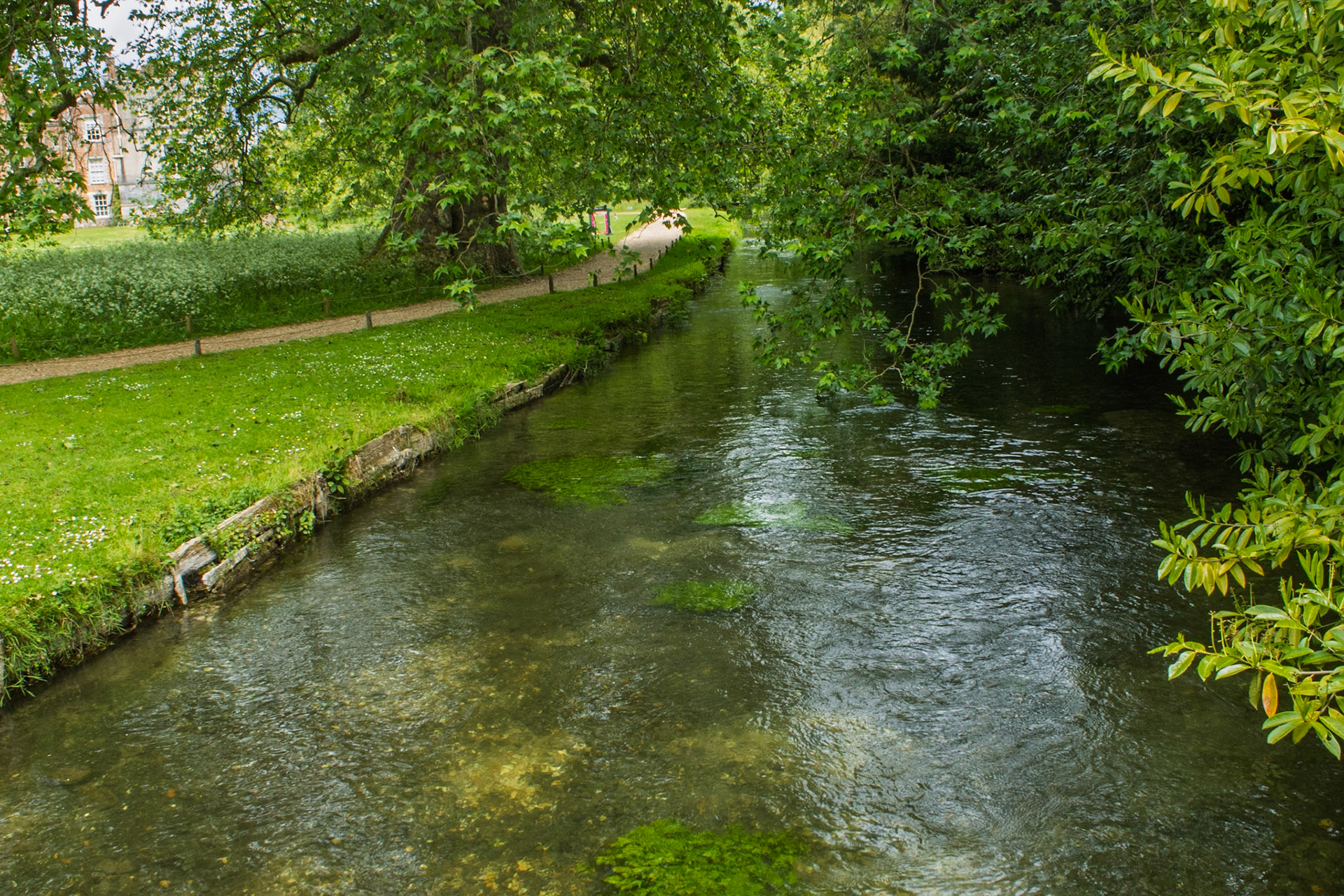 Mottisfont