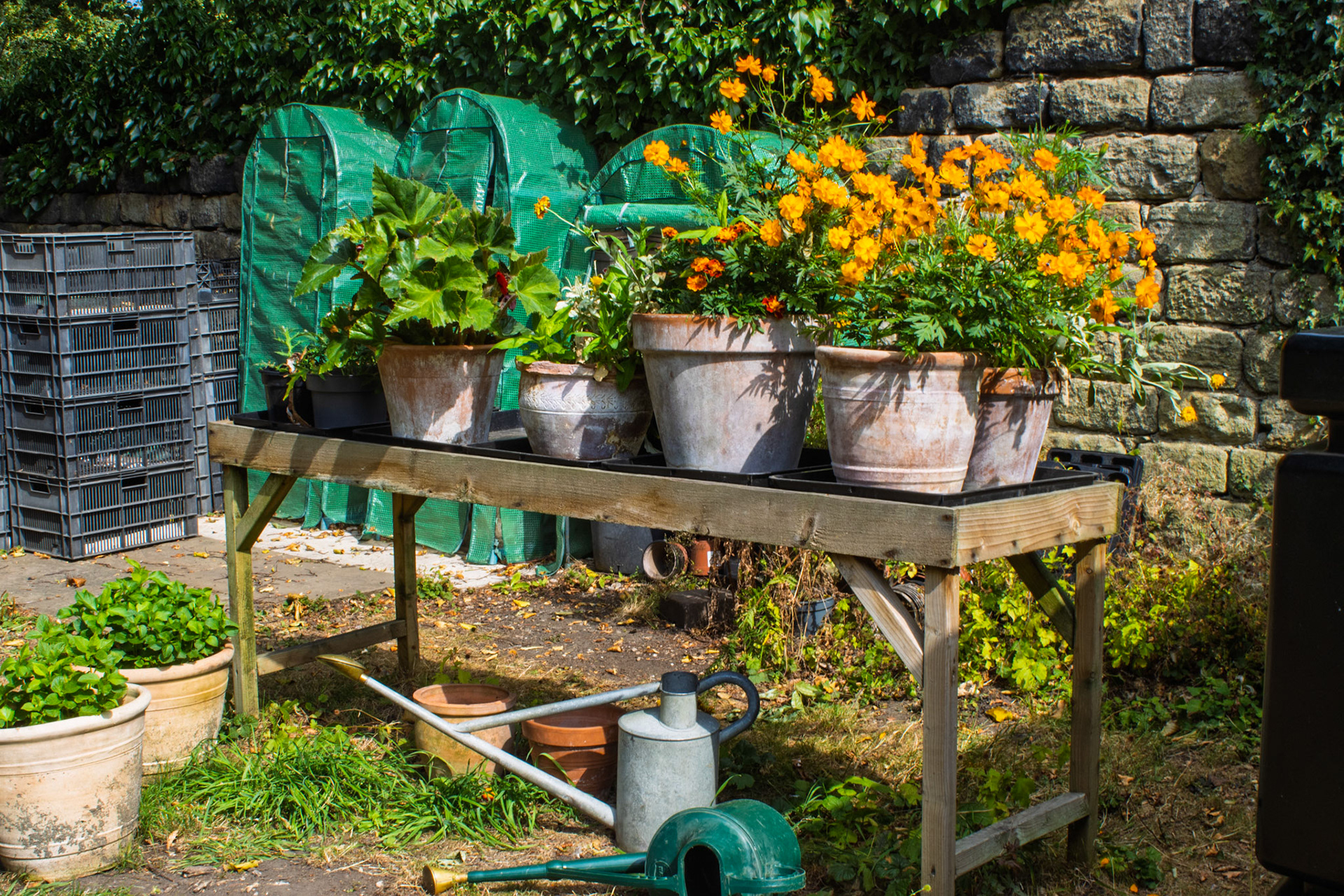 Mollie’s Garden East Riddlesden Hall
