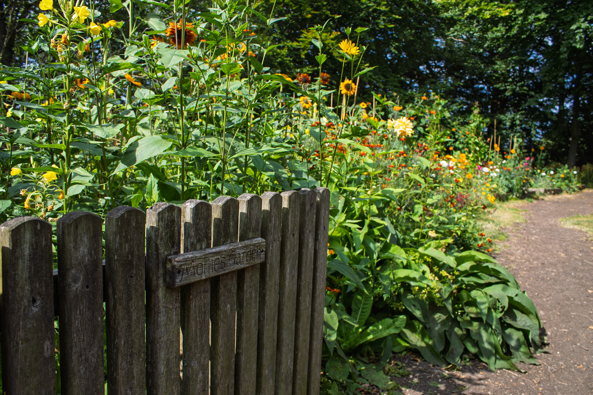 Mollie’s garden East Riddlesden Hall