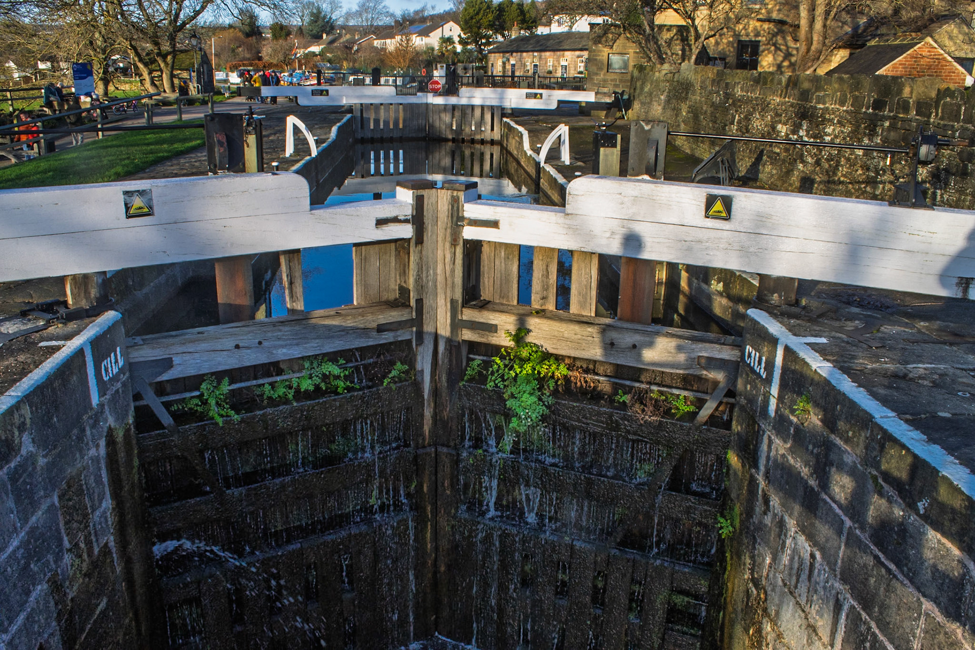 Bingley 5 Rise