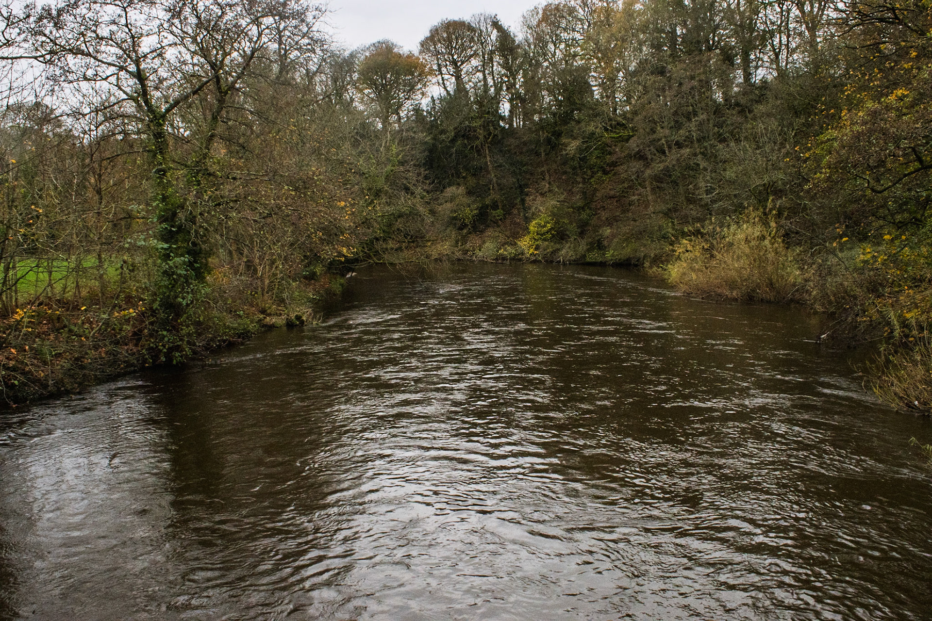 River Aire at Bingley