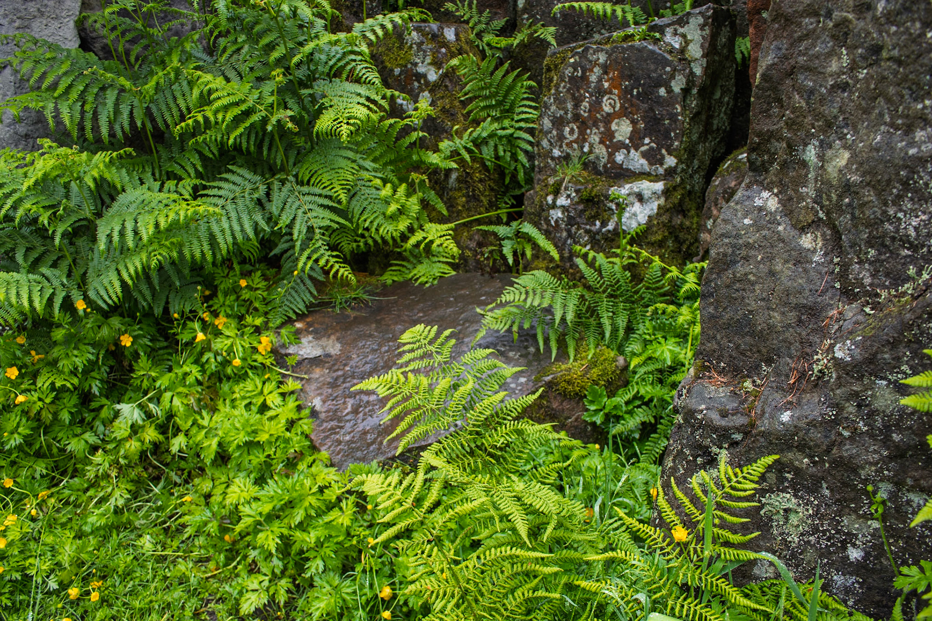 Druids Temple
