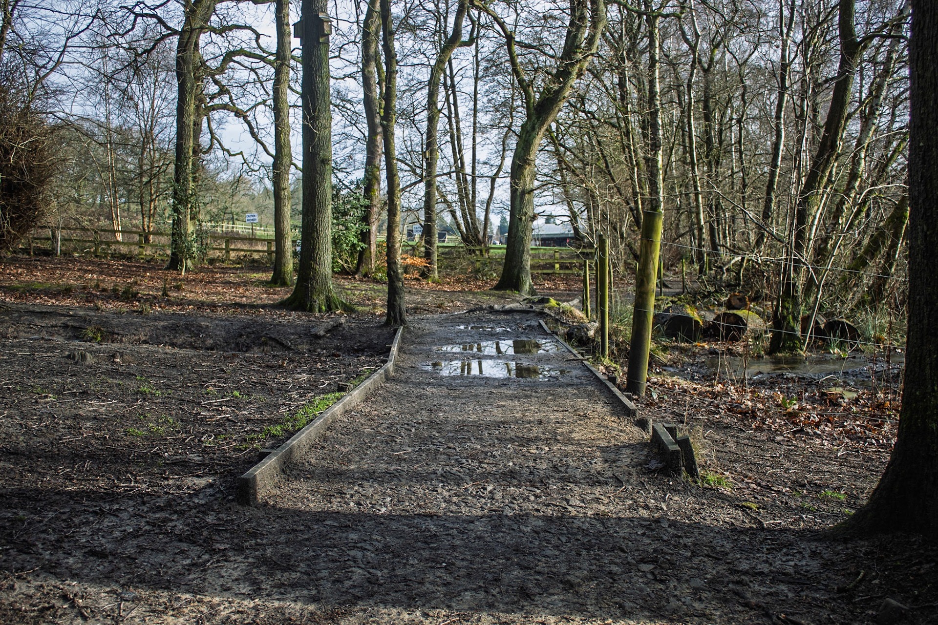 Path around Coppice Pond