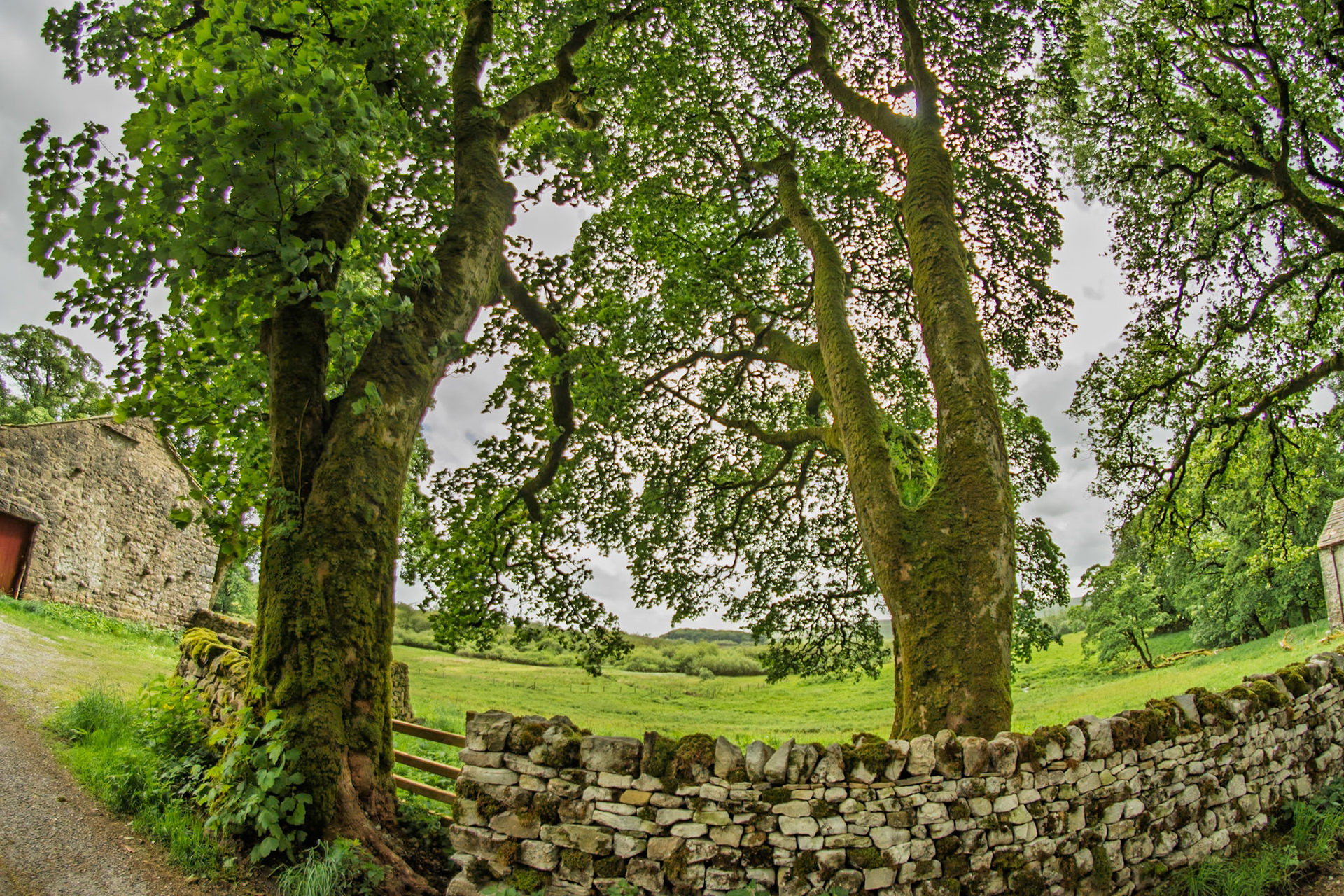 Malham Tarn
