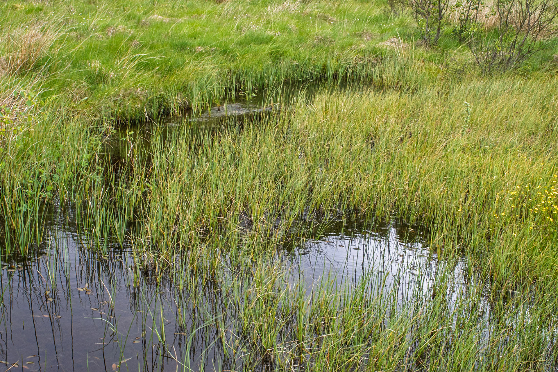 Malham Tarn