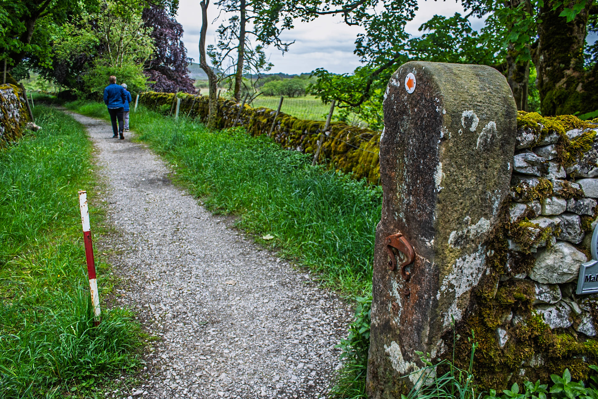Malham Tarn