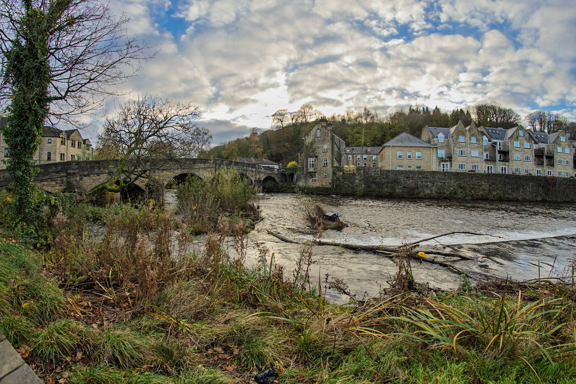 River Aire at Bingely
