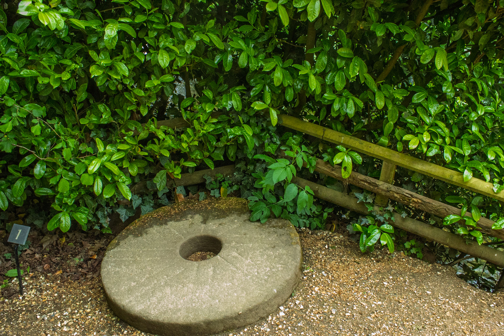 Mottisfont