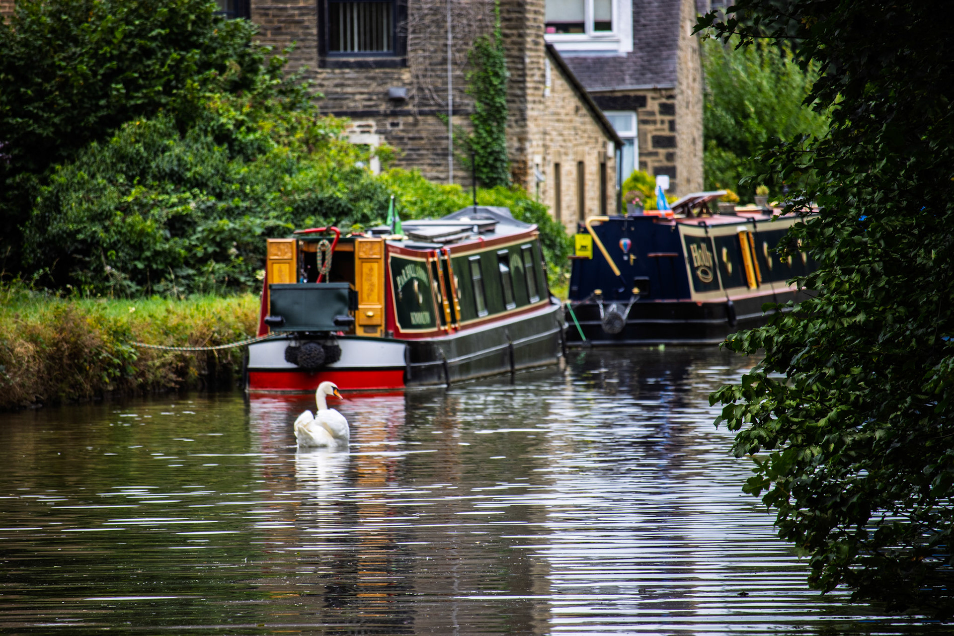 Swan and Canal Boats