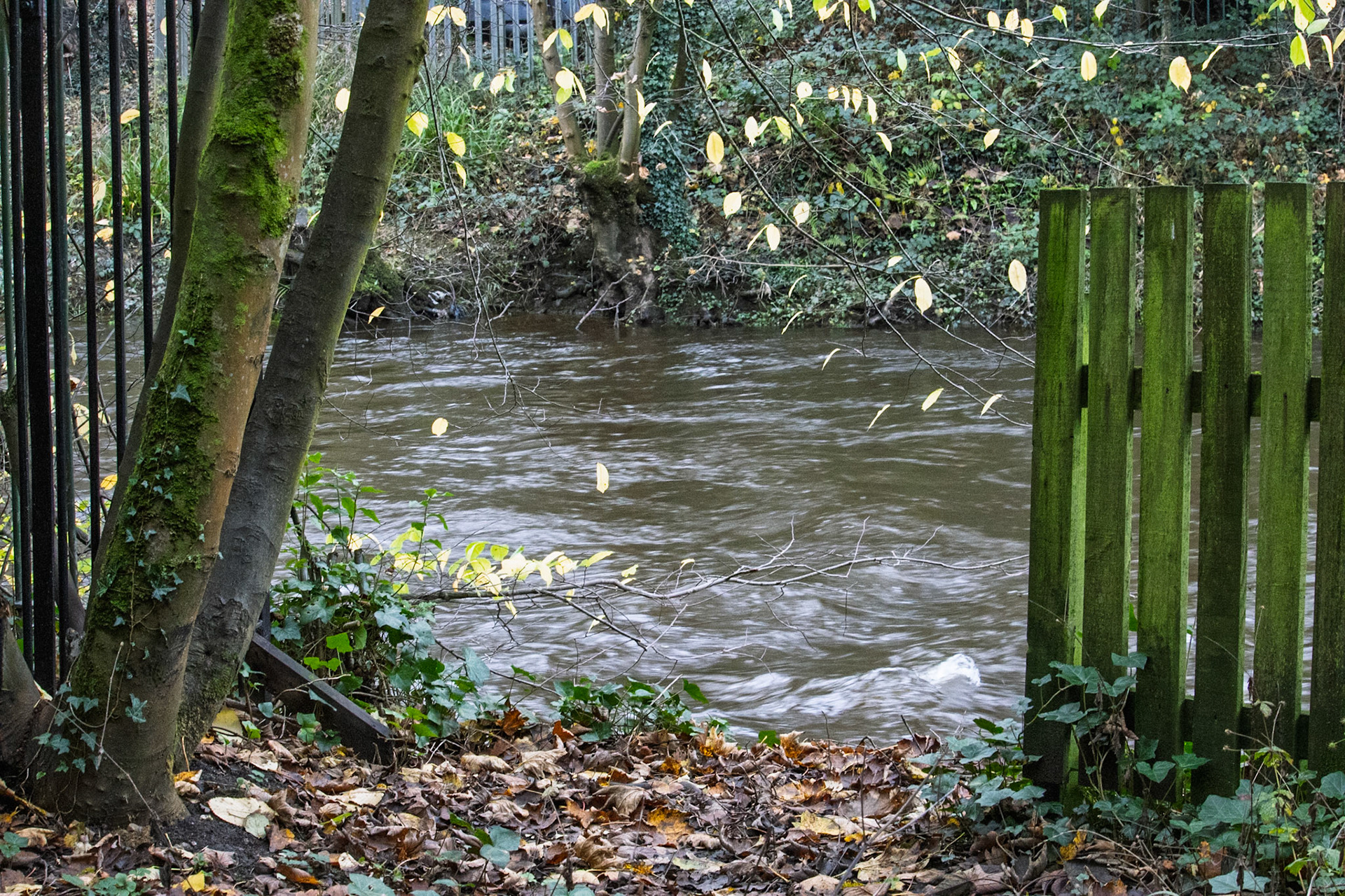 River Aire at Bingley