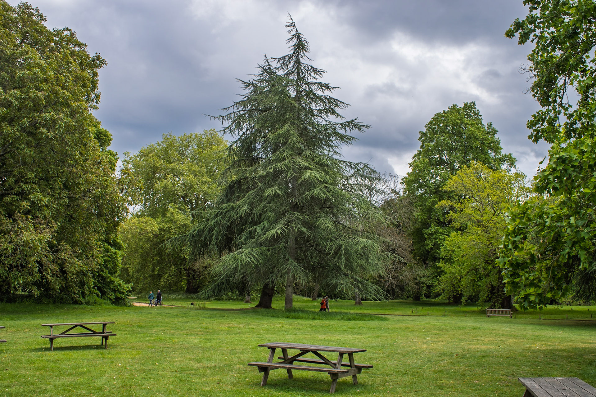 Mottisfont