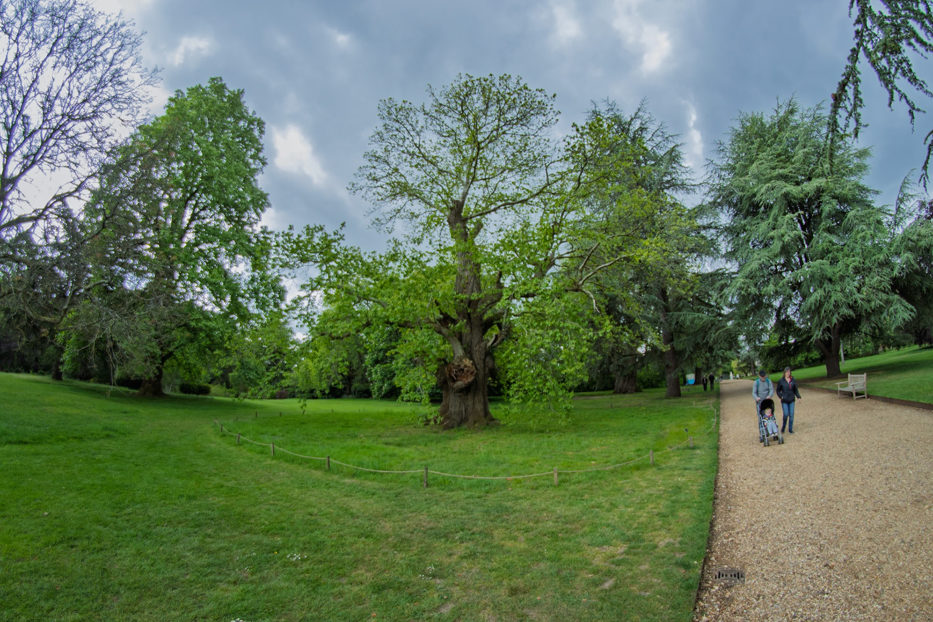 Mottisfont