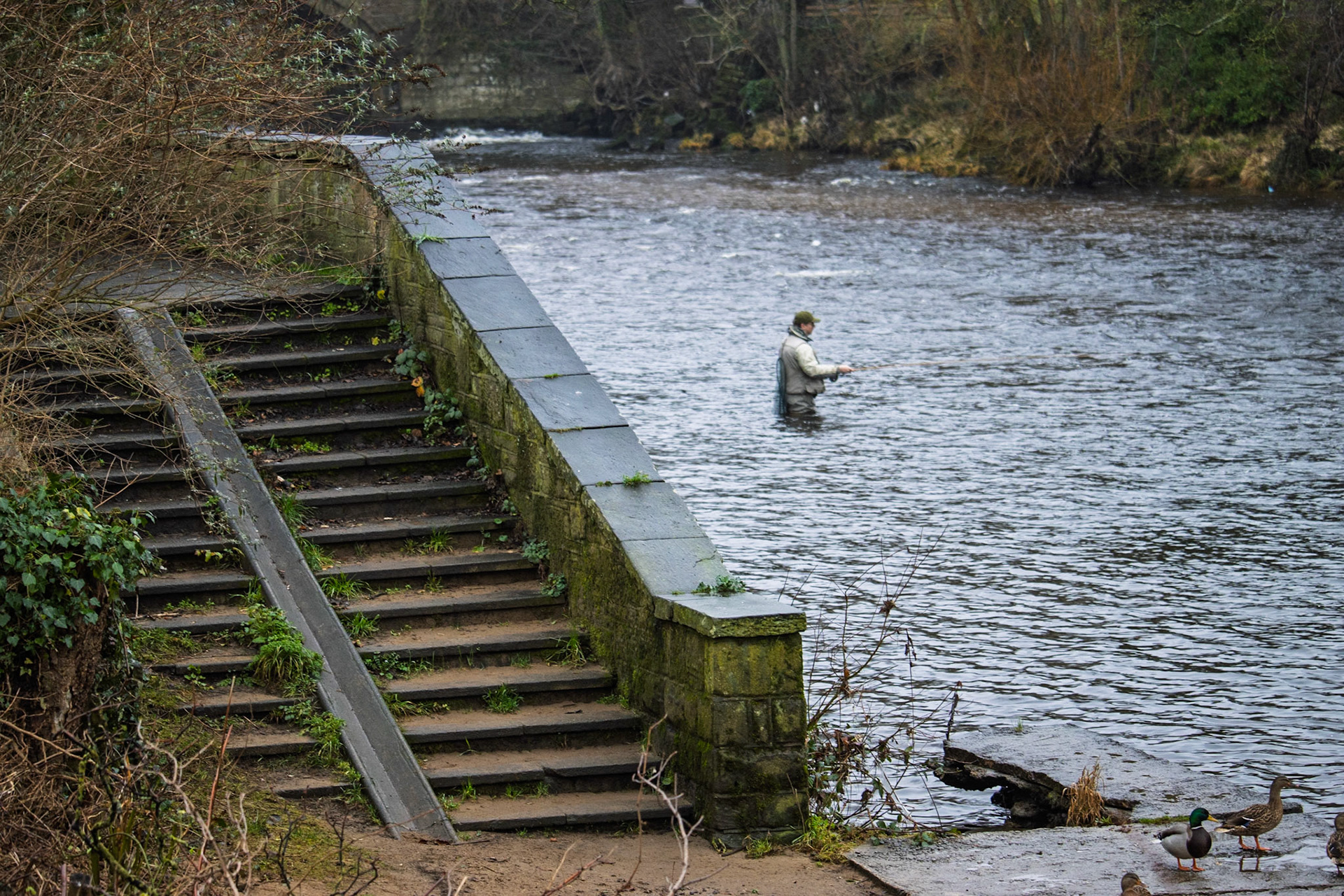 Castomg out to River Wharfe