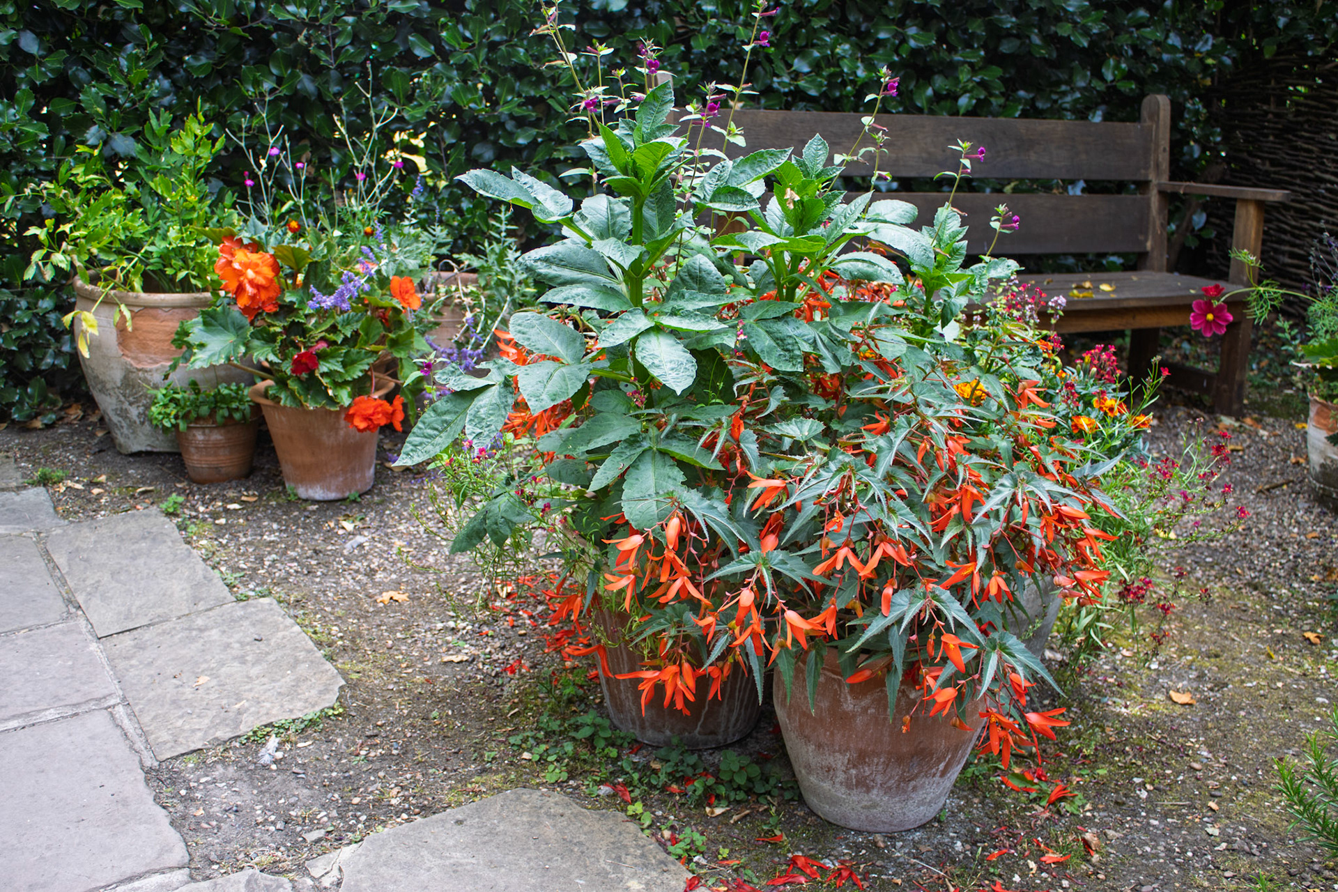 Pots in Mollie’s Garden at East Riddlesden Hall
