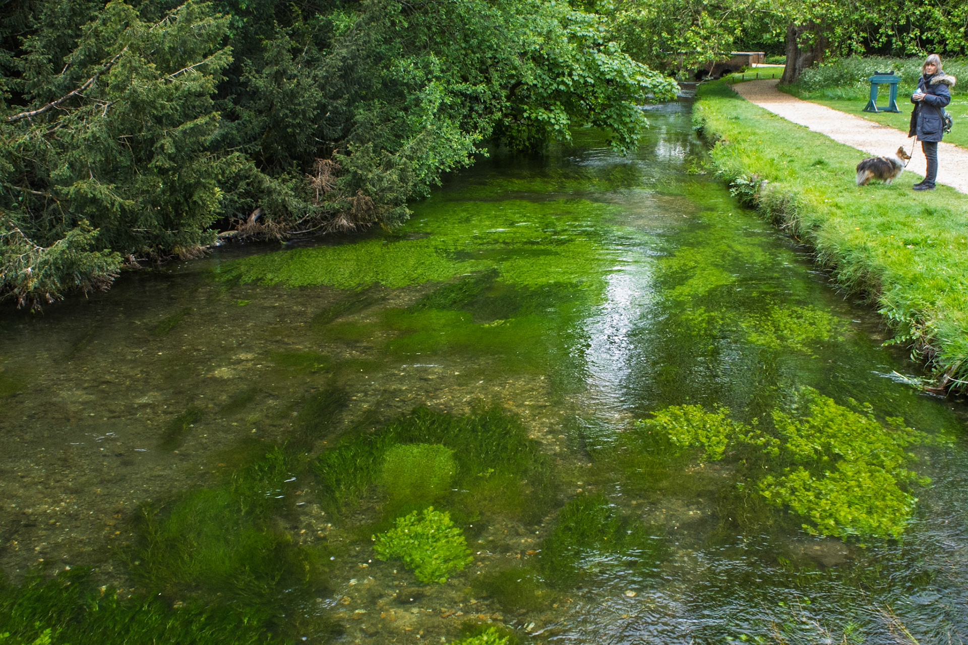 Mottisfont