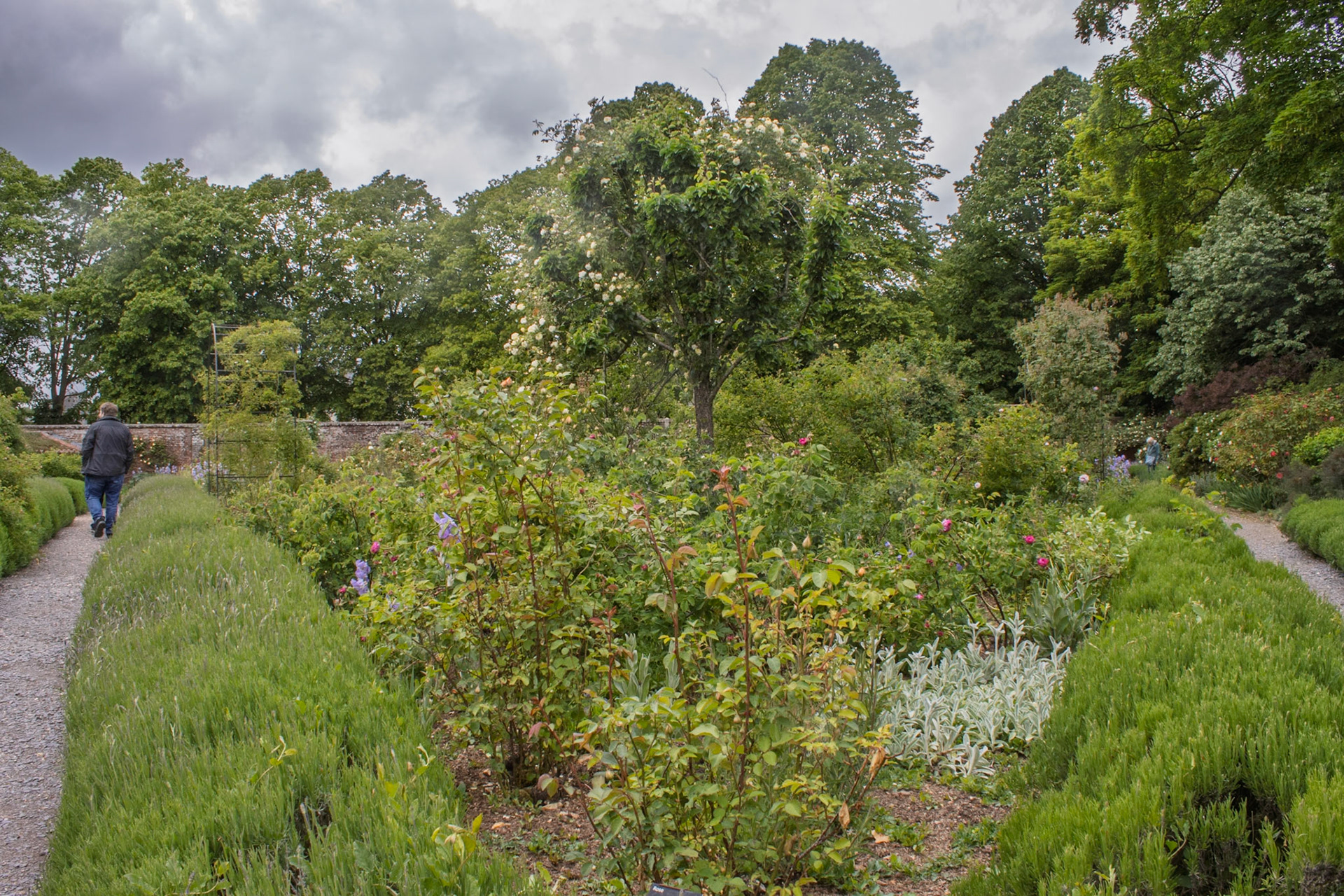 Mottisfont