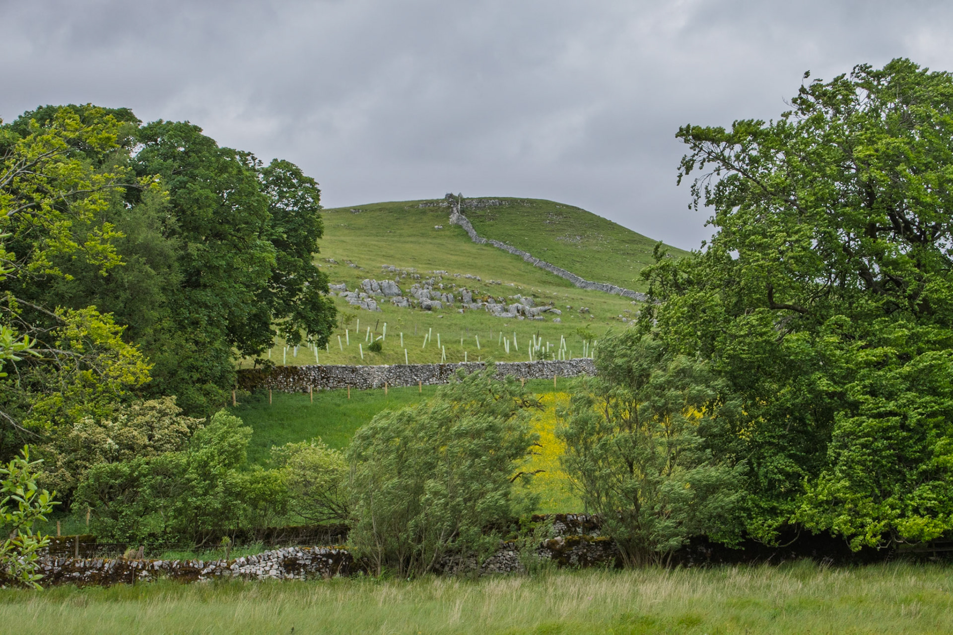 Malham Tarn