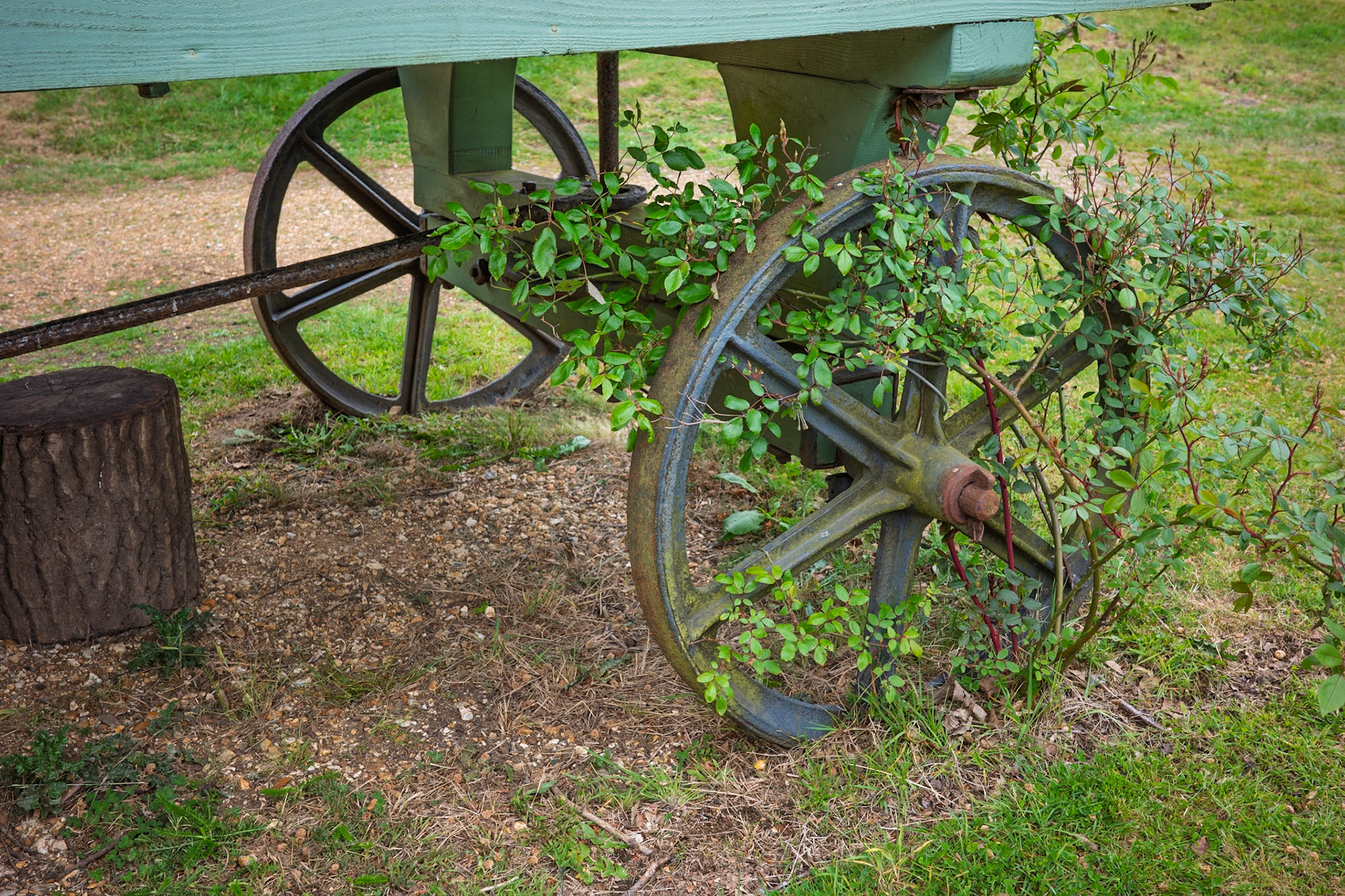 Mottisfont