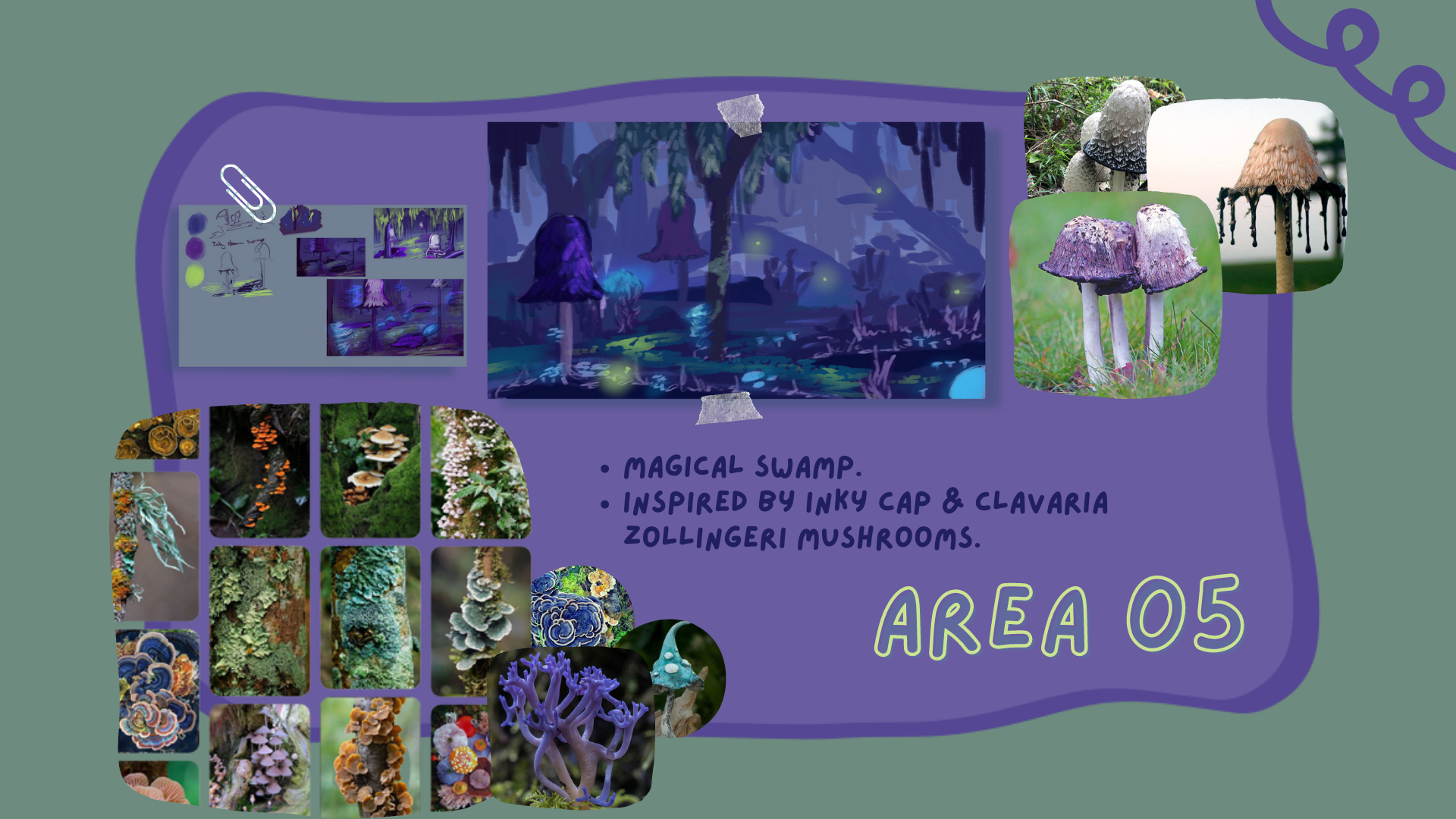 Area 5 concepts and inspirations