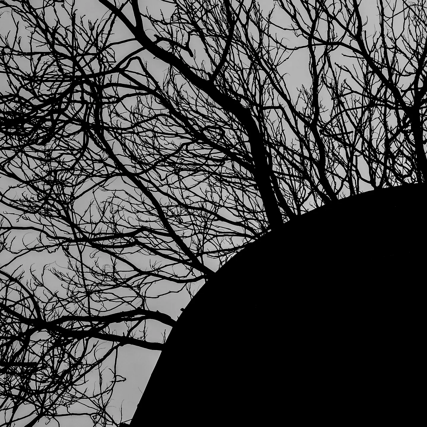 What remains when light forgets itself. A geometry of grief, frozen mid-collapse.