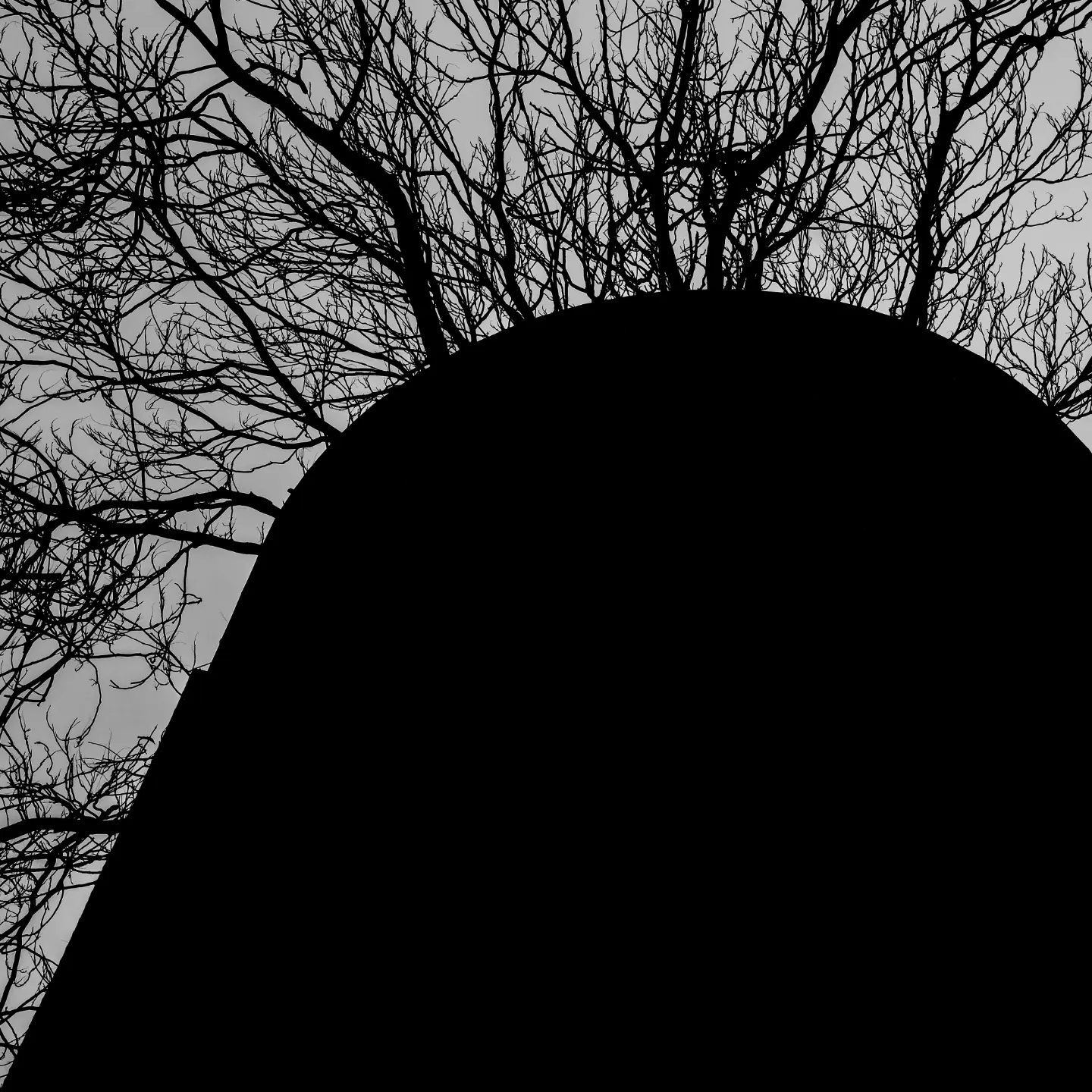 Veins of a dying sky. The architecture of disappearance rendered in silhouette and silence.