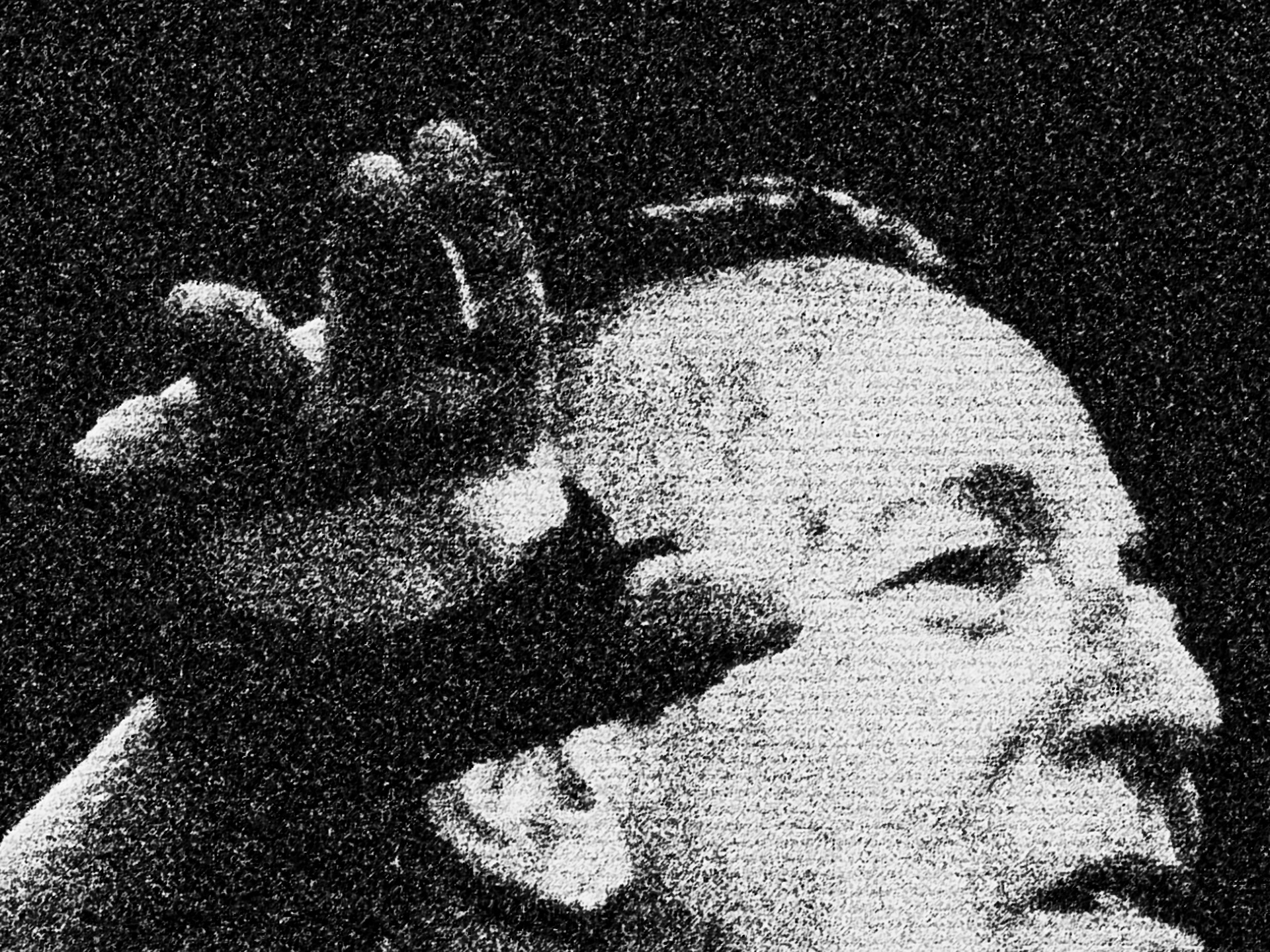 Bruce Springsteen, Monza 2023