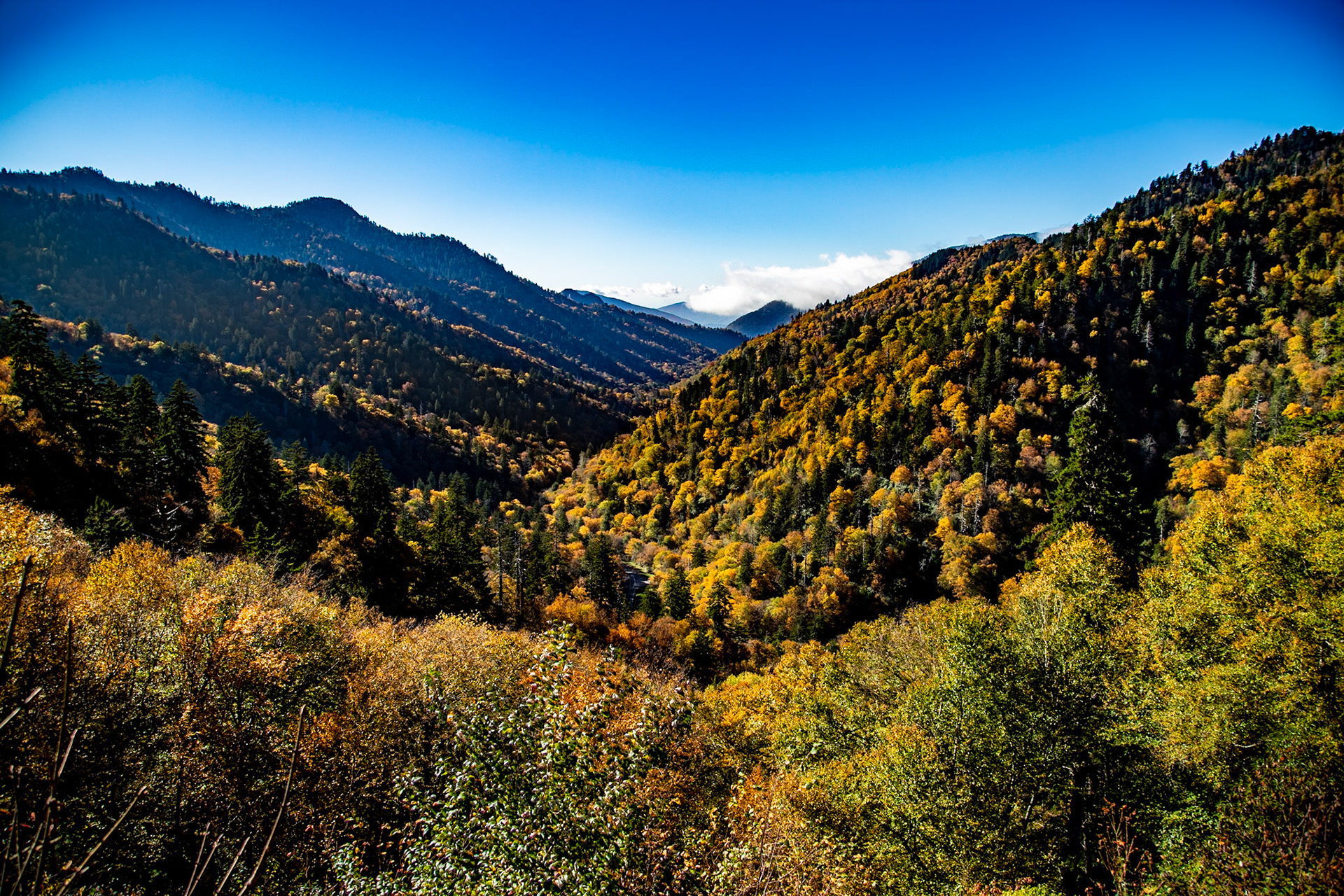 Morton Overlook, Great Smoky Mountains National Park