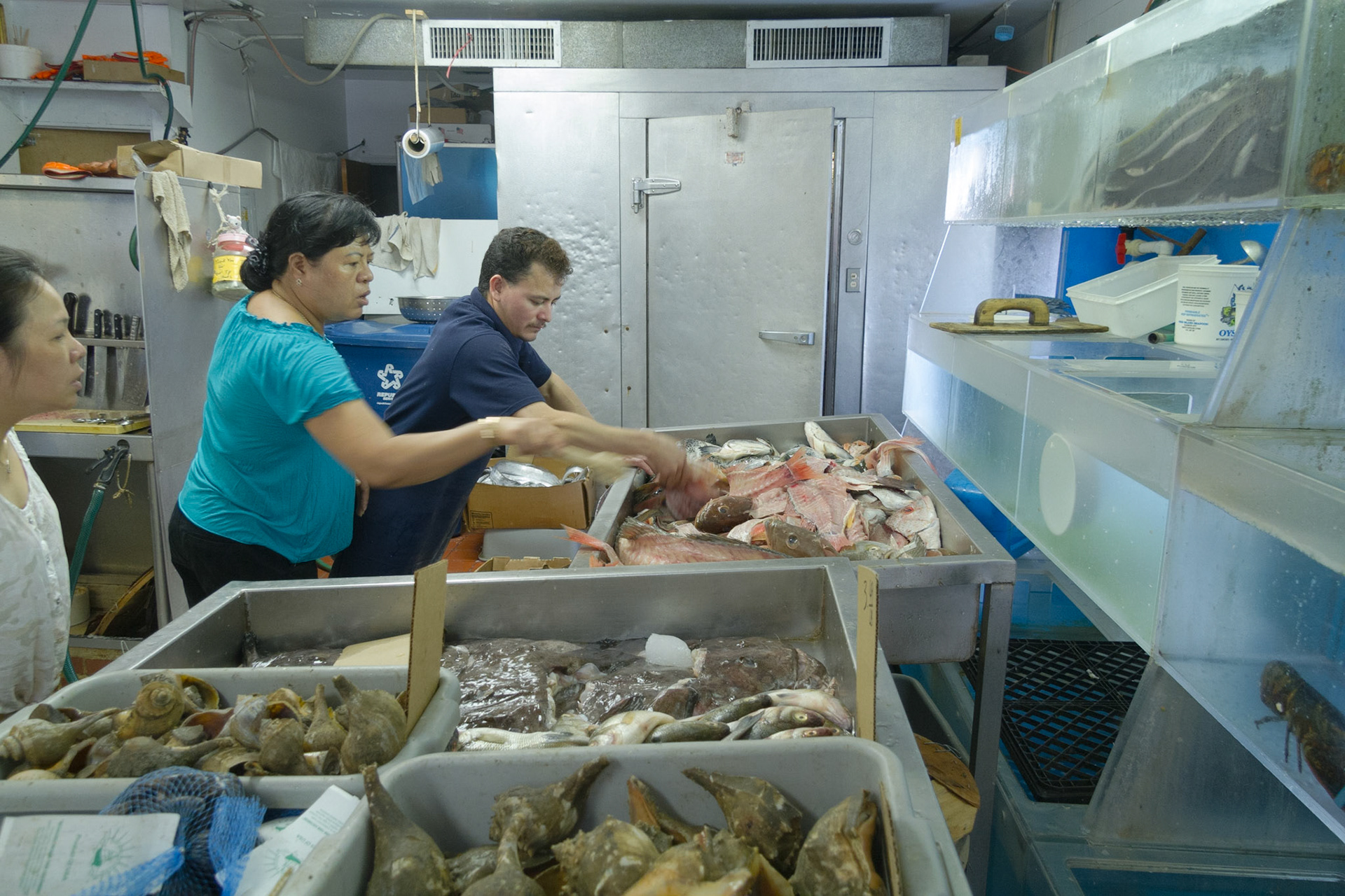 The day before the October 2013 NAPFA Board Meeting, I was in Philadelphia intending to shoot in Valley Forge National Park.  Because of a government shutdown, I spent the day walking the streets in downtown Philadelphia.