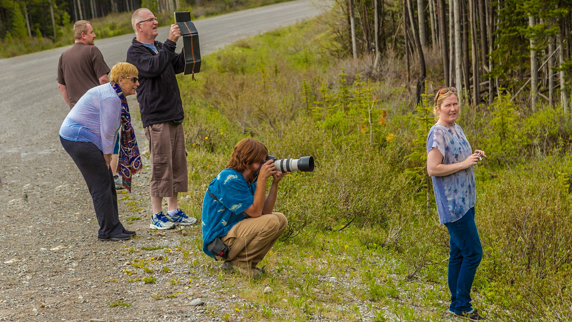 Moose Jam – This Irish family discovered a moose cow and calf in the woods. They were pretty excited, particularly the older lady. Like many people we met on this trip, these people were warm and friendly in conversation. I learned that the older couple was visiting their son and daughter-in-law, who had immigrated to Regina, SK, Canada.  When we were preparing to leave the scene, a lens cap was missing. These strangers spent maybe 20 minutes helping us search the area for it, before we all went on our separate ways. A few miles down the road, Mark discovered the cap was in plain view on top of the dashboard. We had searched the nooks and crannies of the car otherwise before we got in to a search of the road way.