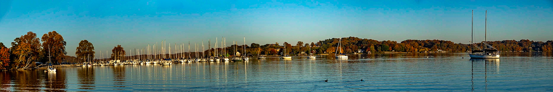 Sail Boats at The Cove