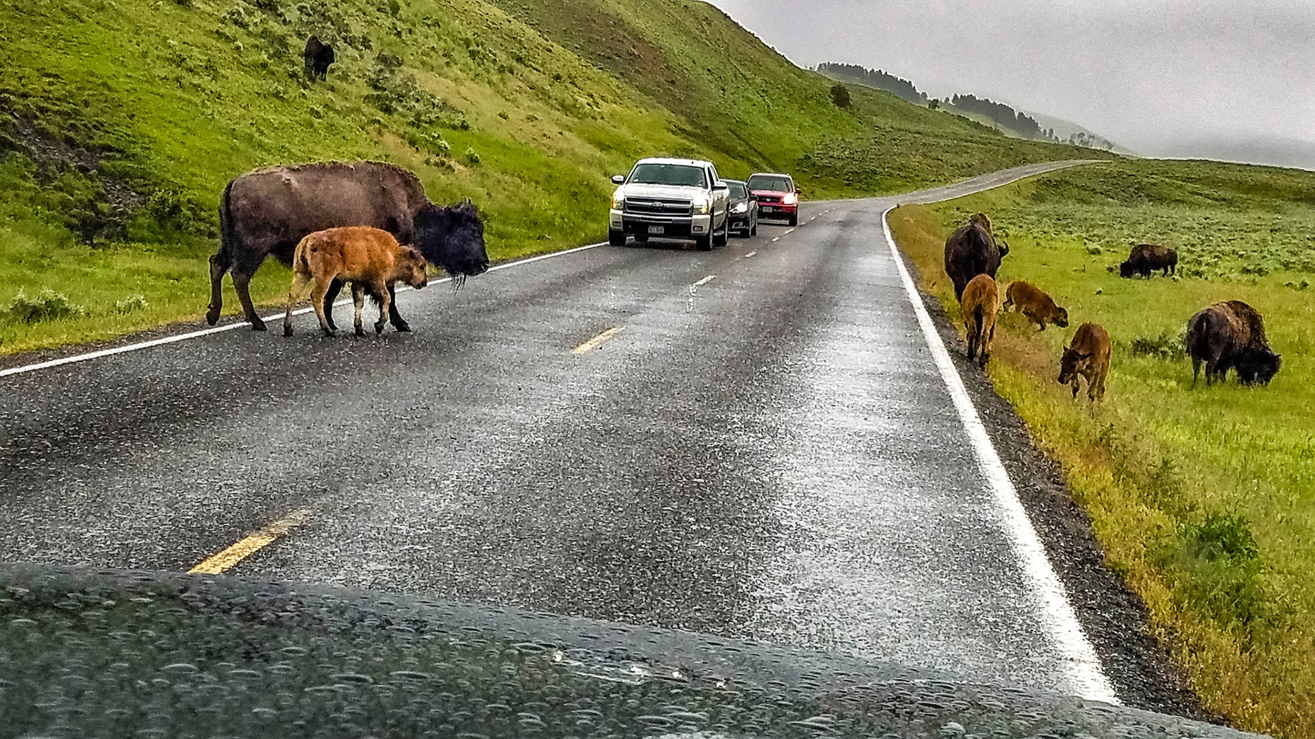 North East Entrance Rd, Yellowstone National Park