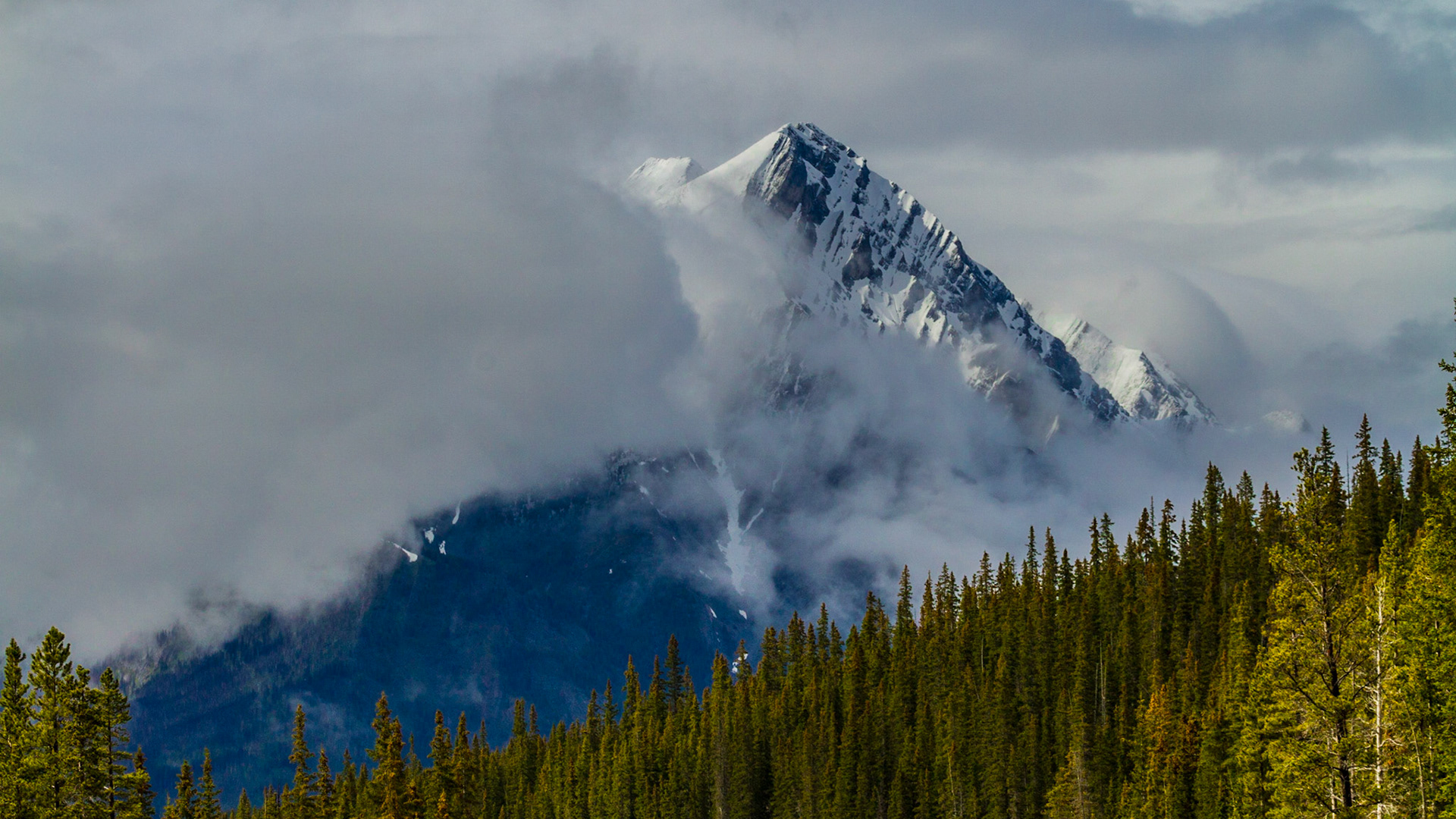A short while after getting back underway from the flat tire, this peak caught my attention. I don’t know exactly what it was. It just looked interesting, with the clouds covering so much of it.  And the trees seemed to add something, now that I look at it again. There were three shots – one much wider than this, this one and one of just the peak and cloud. This one seems to have the right balance between a lot of information and clean lines.