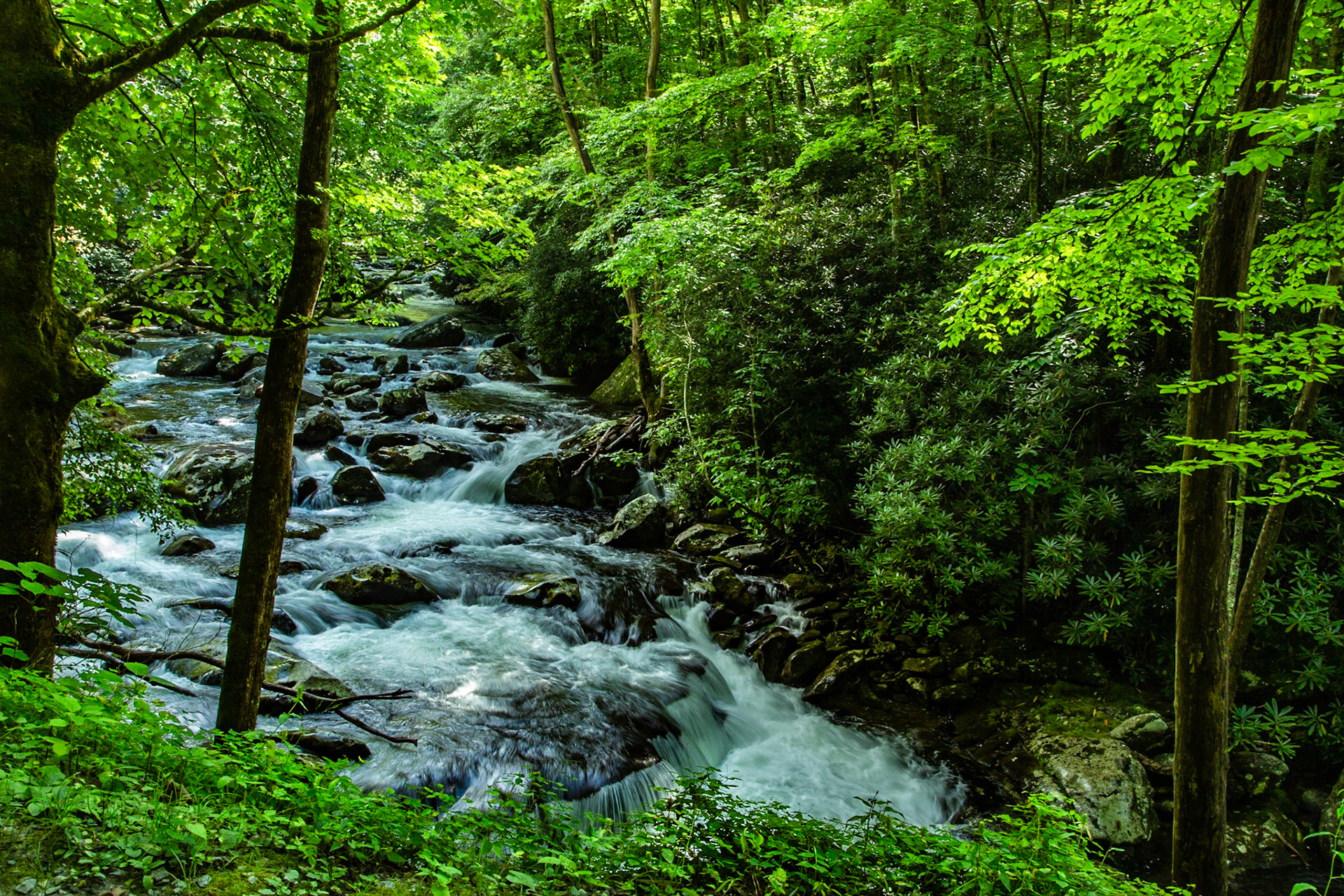 Middle Prong Little River