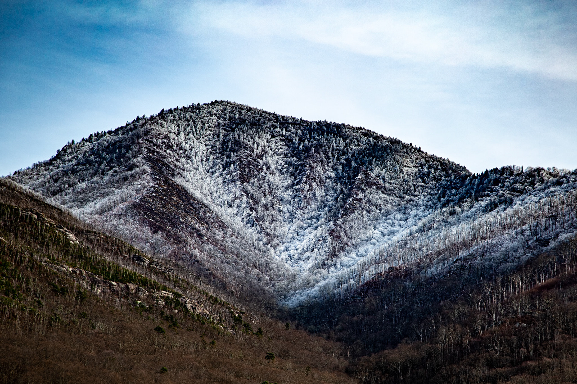 35°39'36.757" N 83°31'15.0882" W