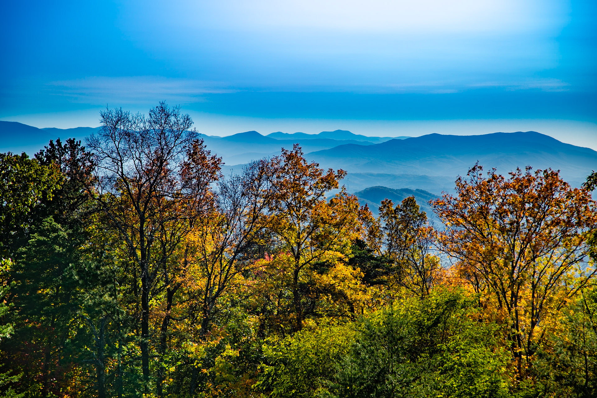 The Preserve at English Mountain