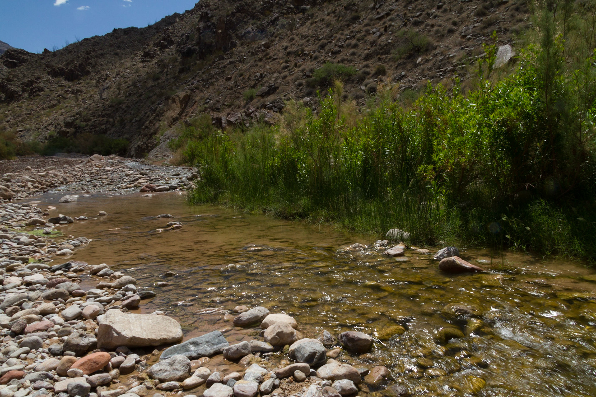 After the NAPFA Spring Conference in Las Vegas, I drove to Kingman for a night, followed by a trip into the Grand Canyon on the Hualapai Indian Reservation.  These images were taken along the Diamond Creek Road and at the Colorado River in the Grand Canyon