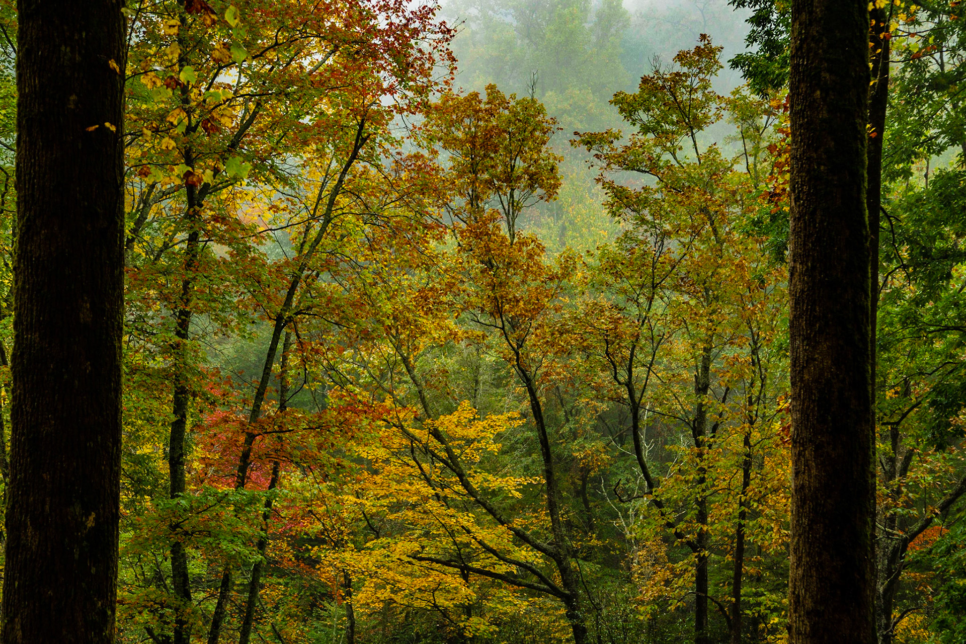 Chimneys Picnic Area