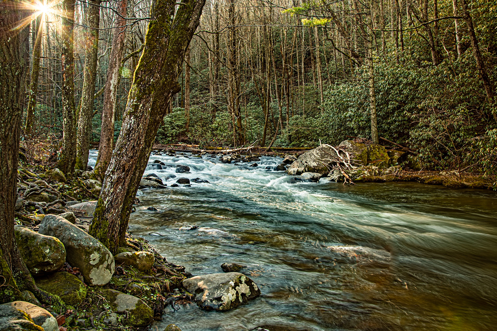 Green Cove Camp Ground